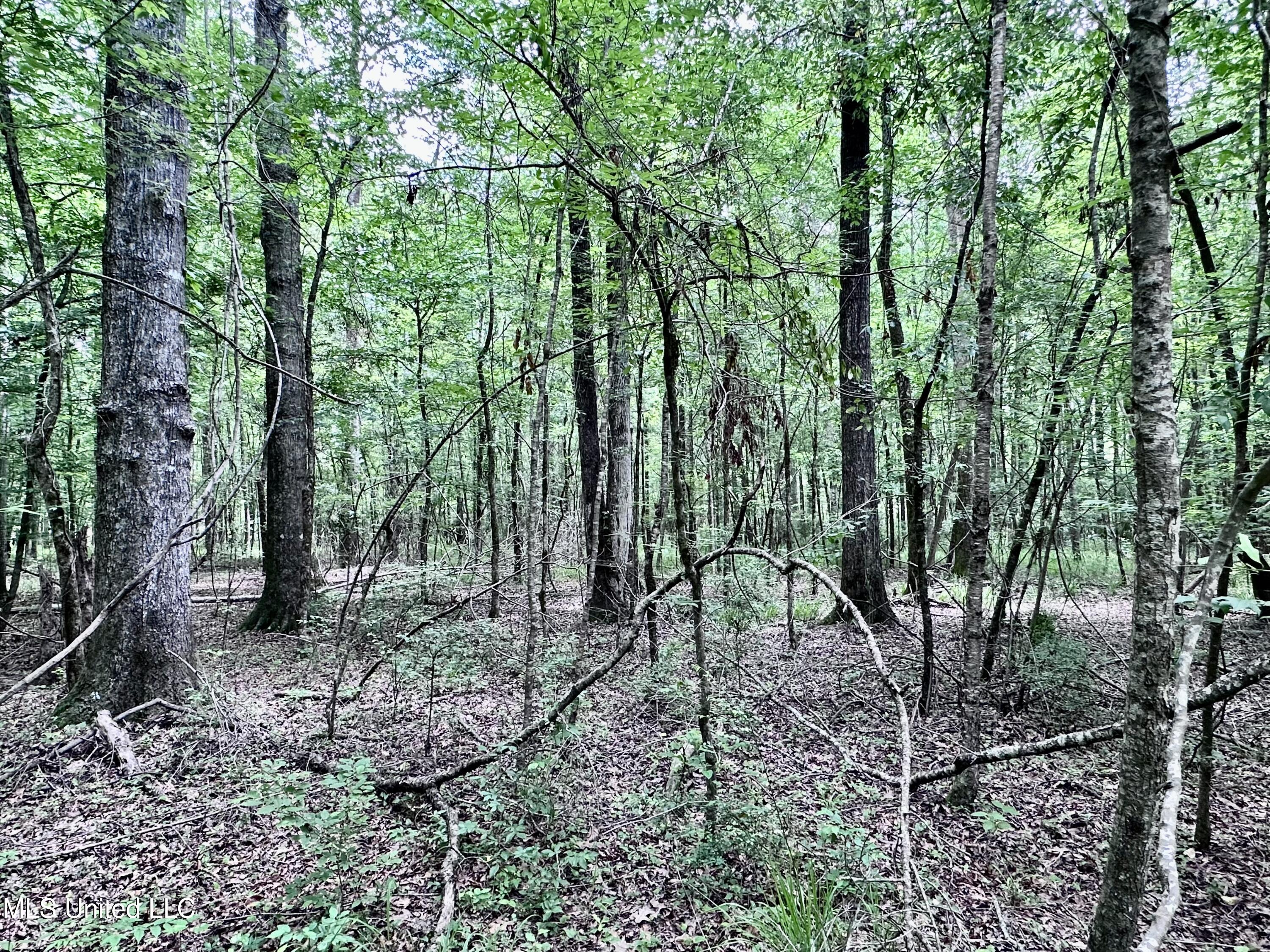 21959 Hwy 80 Property Photo 28