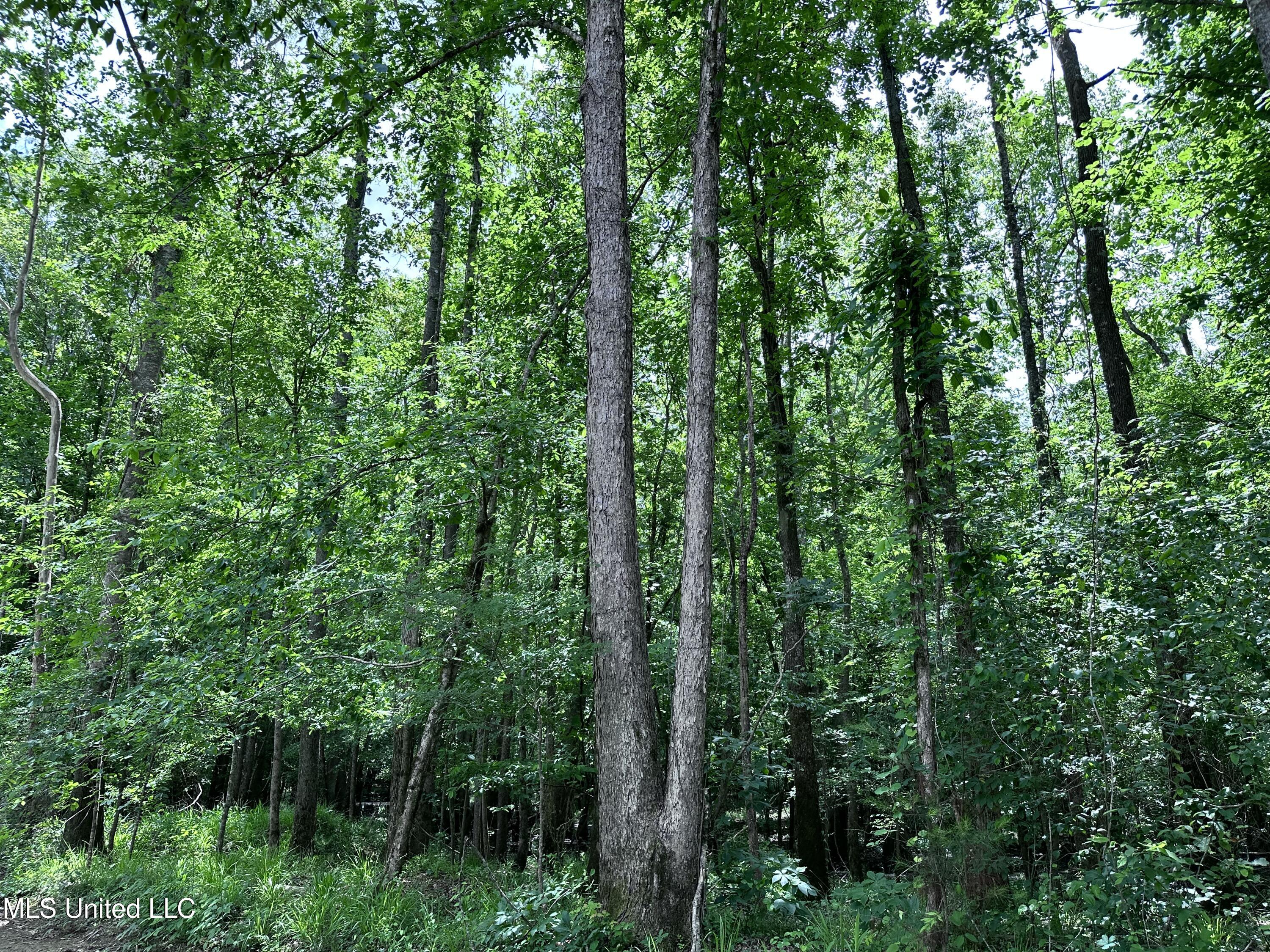 21959 Hwy 80 Property Photo 32