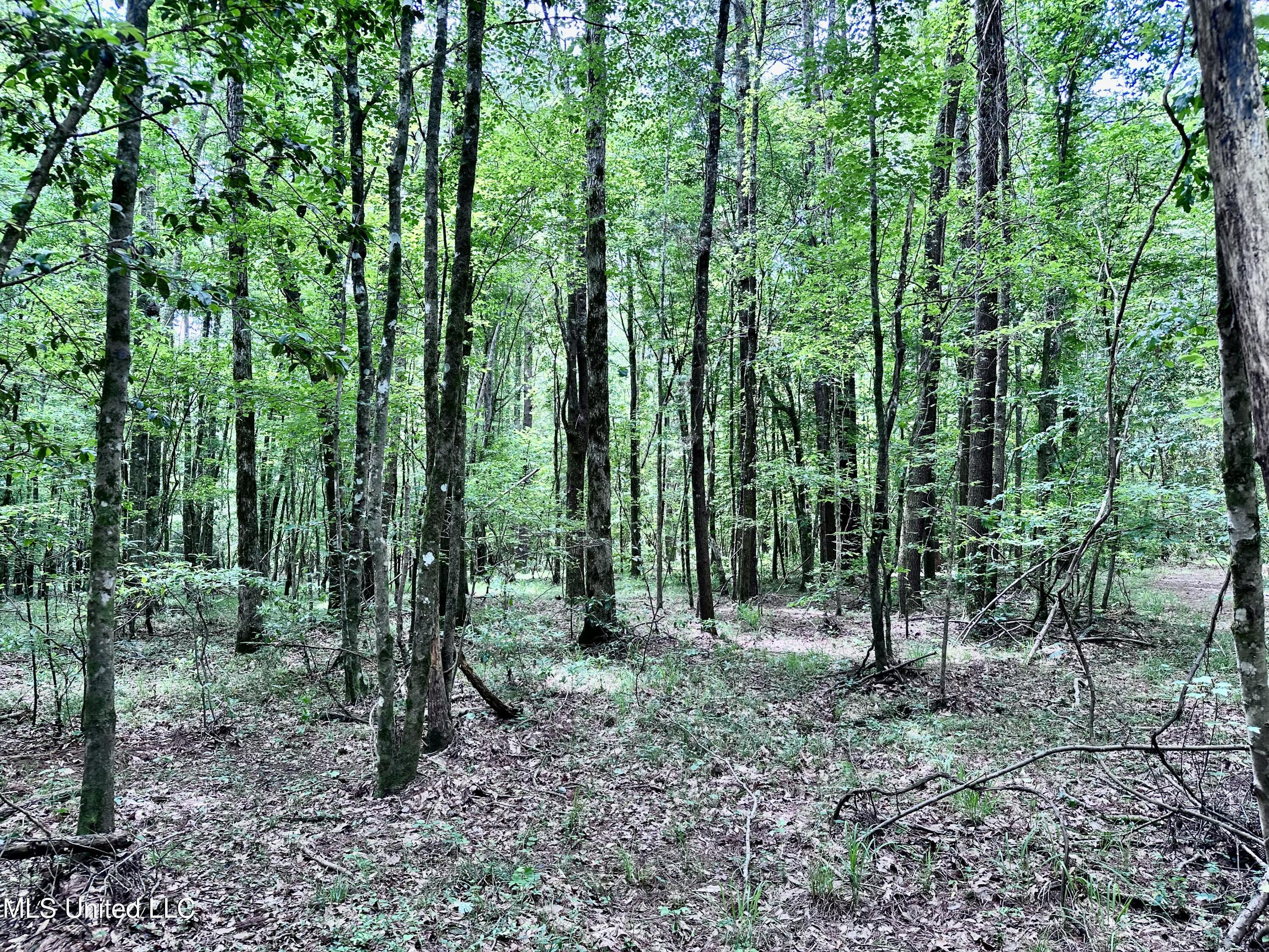 21959 Hwy 80 Property Photo 35