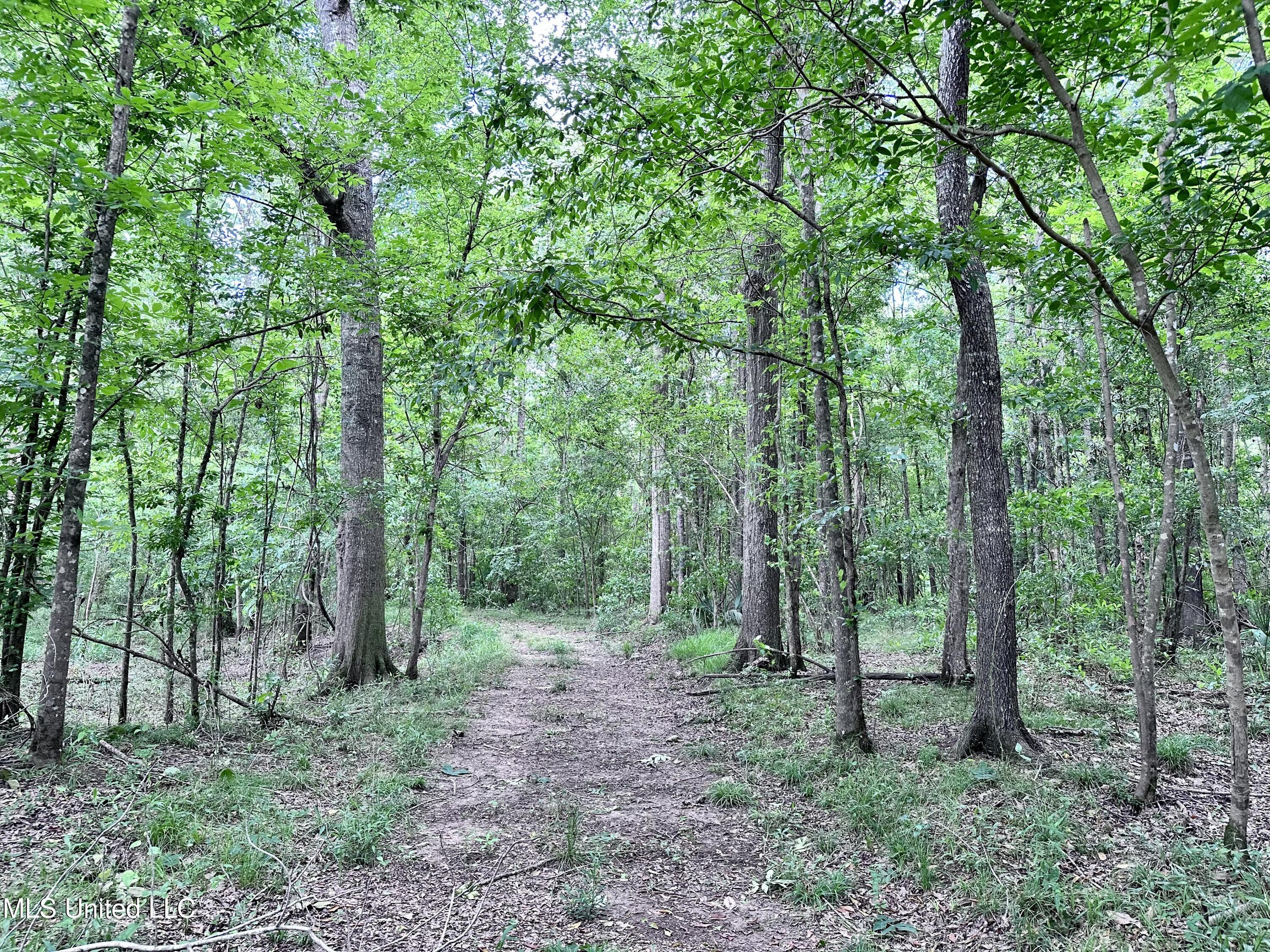 21959 Hwy 80 Property Photo 36