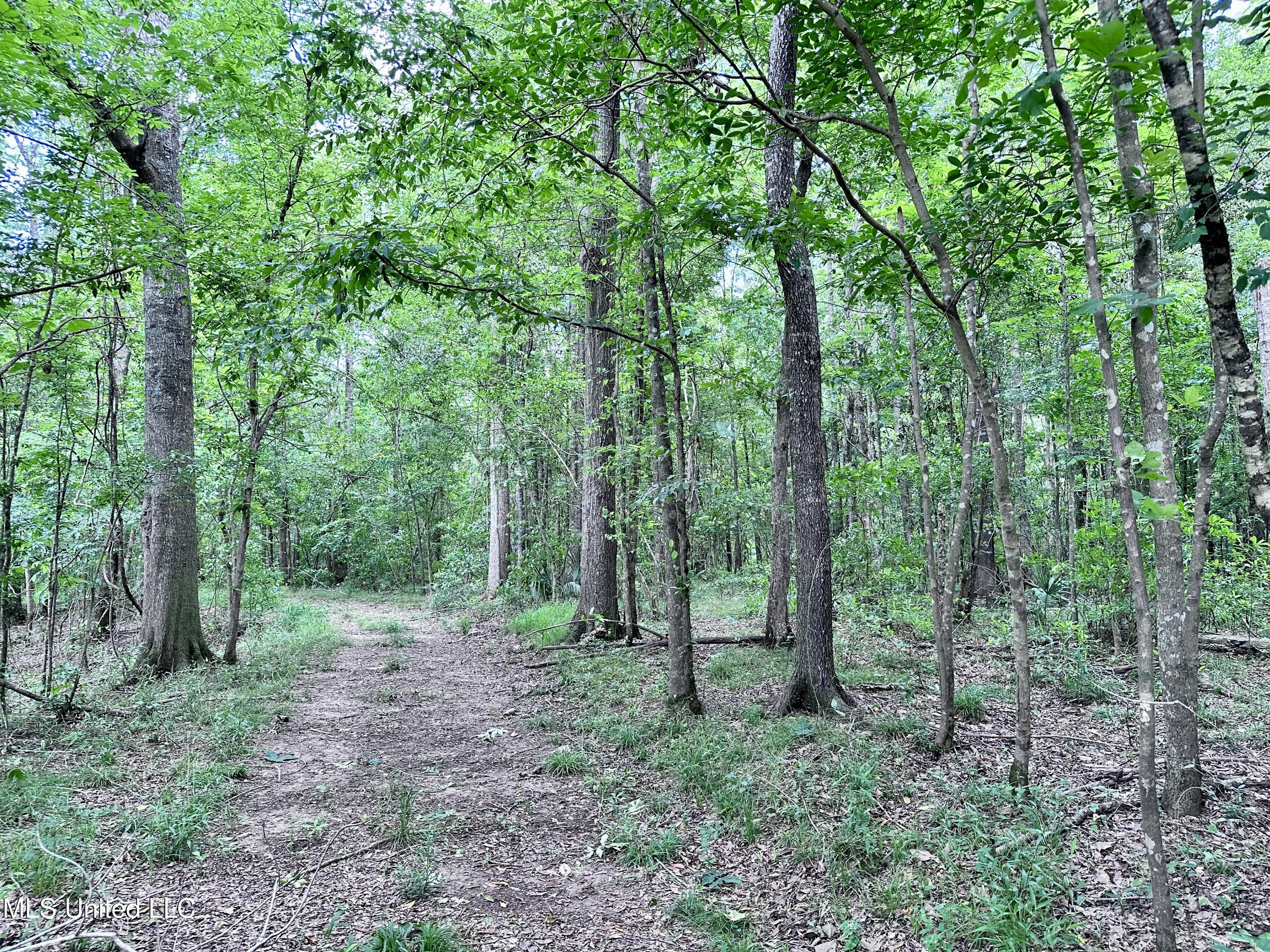 21959 Hwy 80 Property Photo 37