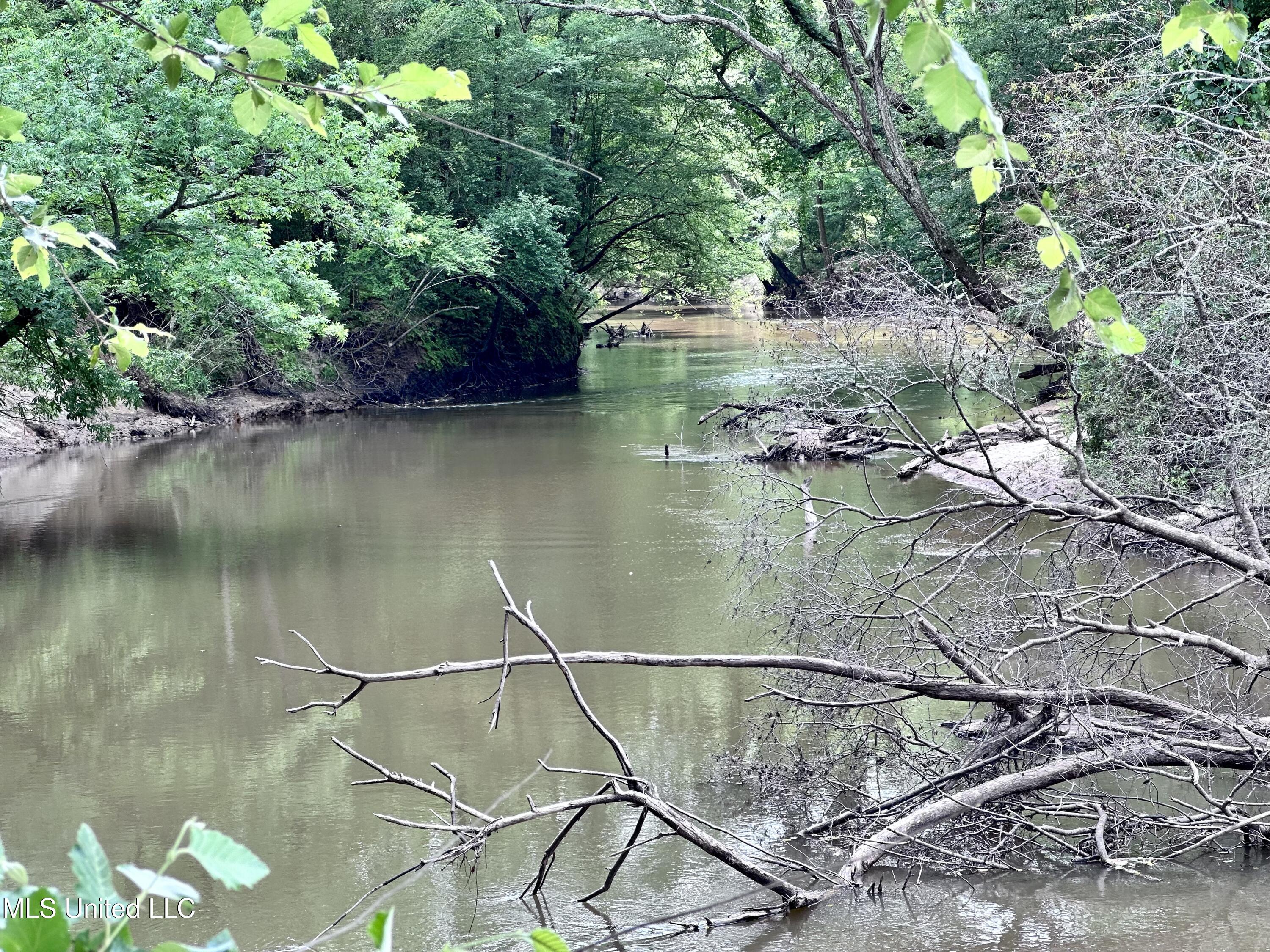 21959 Hwy 80 Property Photo 38