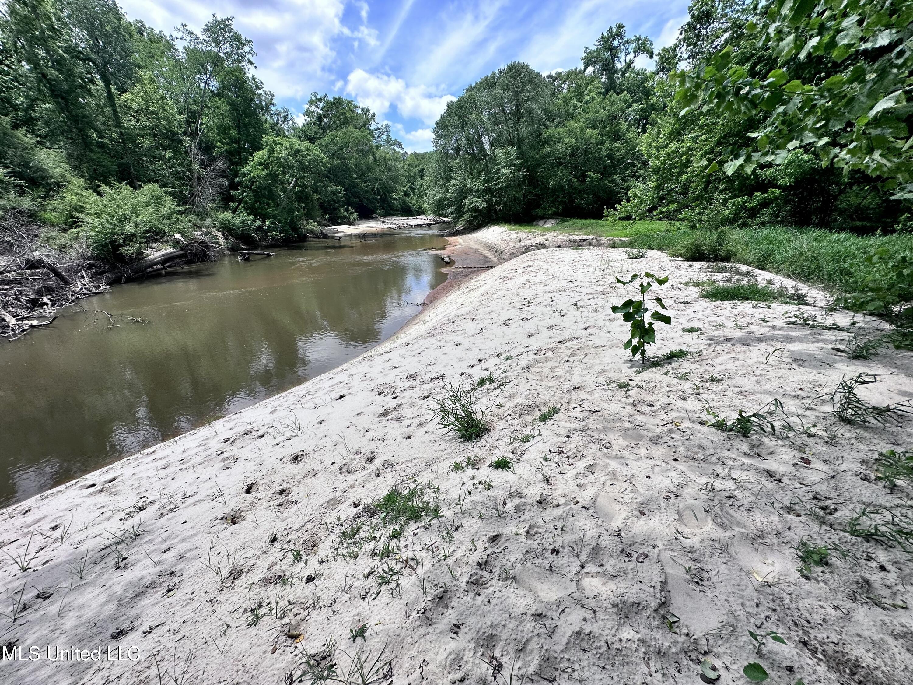 21959 Hwy 80 Property Photo 39