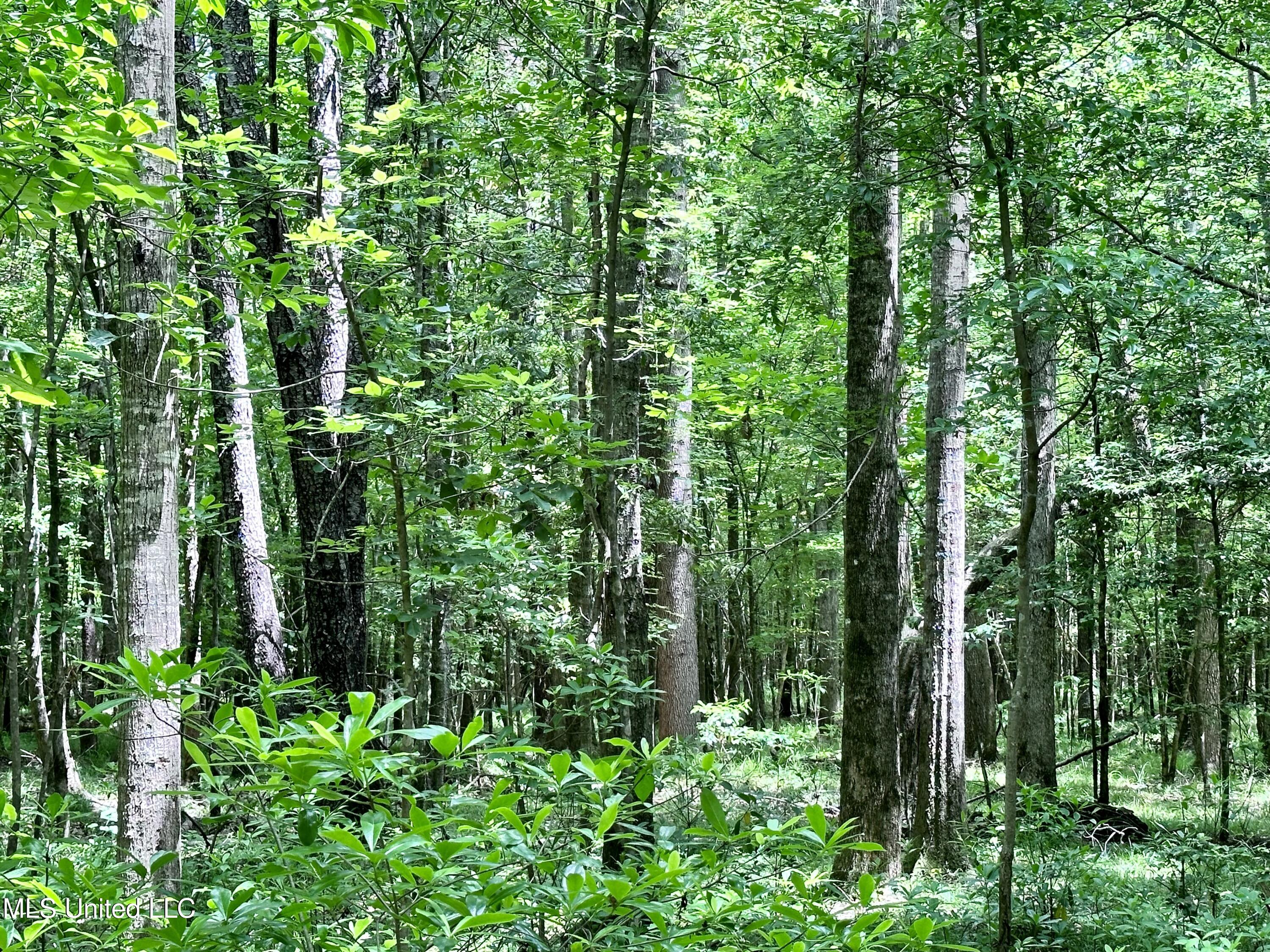 21959 Hwy 80 Property Photo 40