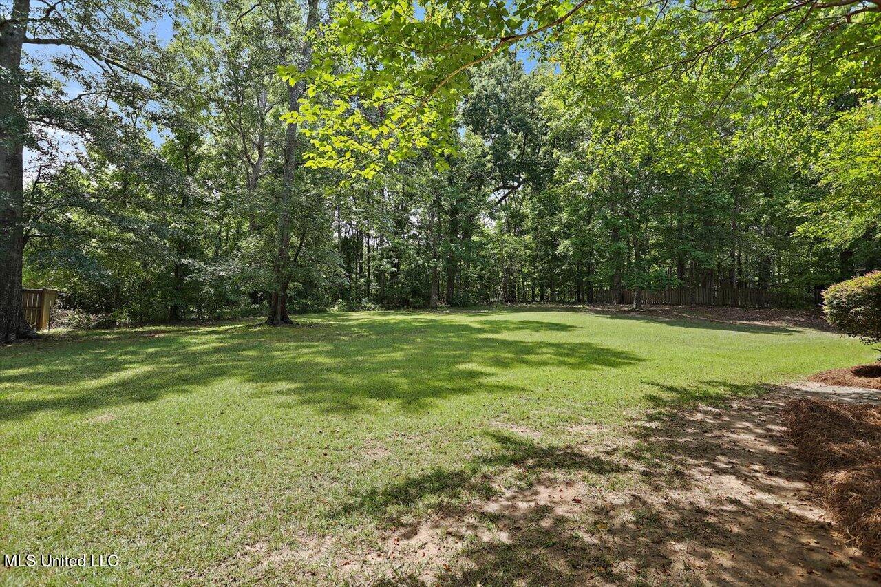 1106 Pointe Cove Property Photo 50