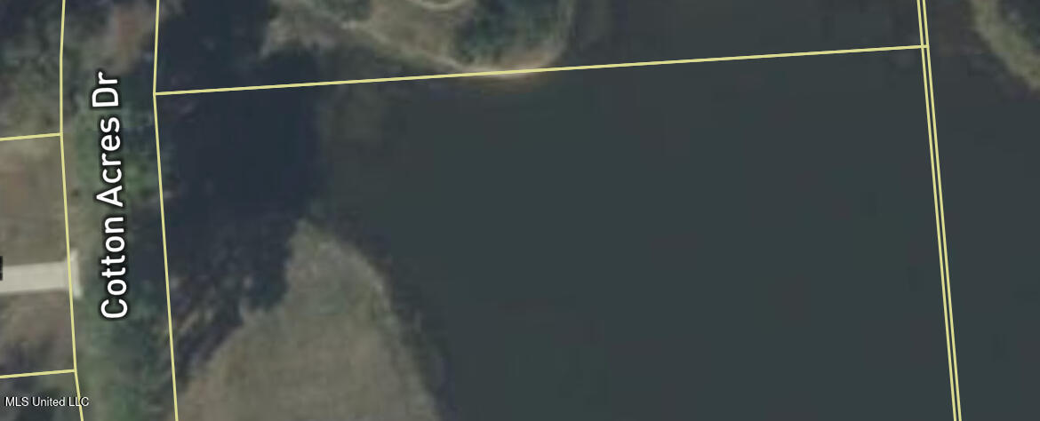 98b Cotton Acres Drive Property Photo 1