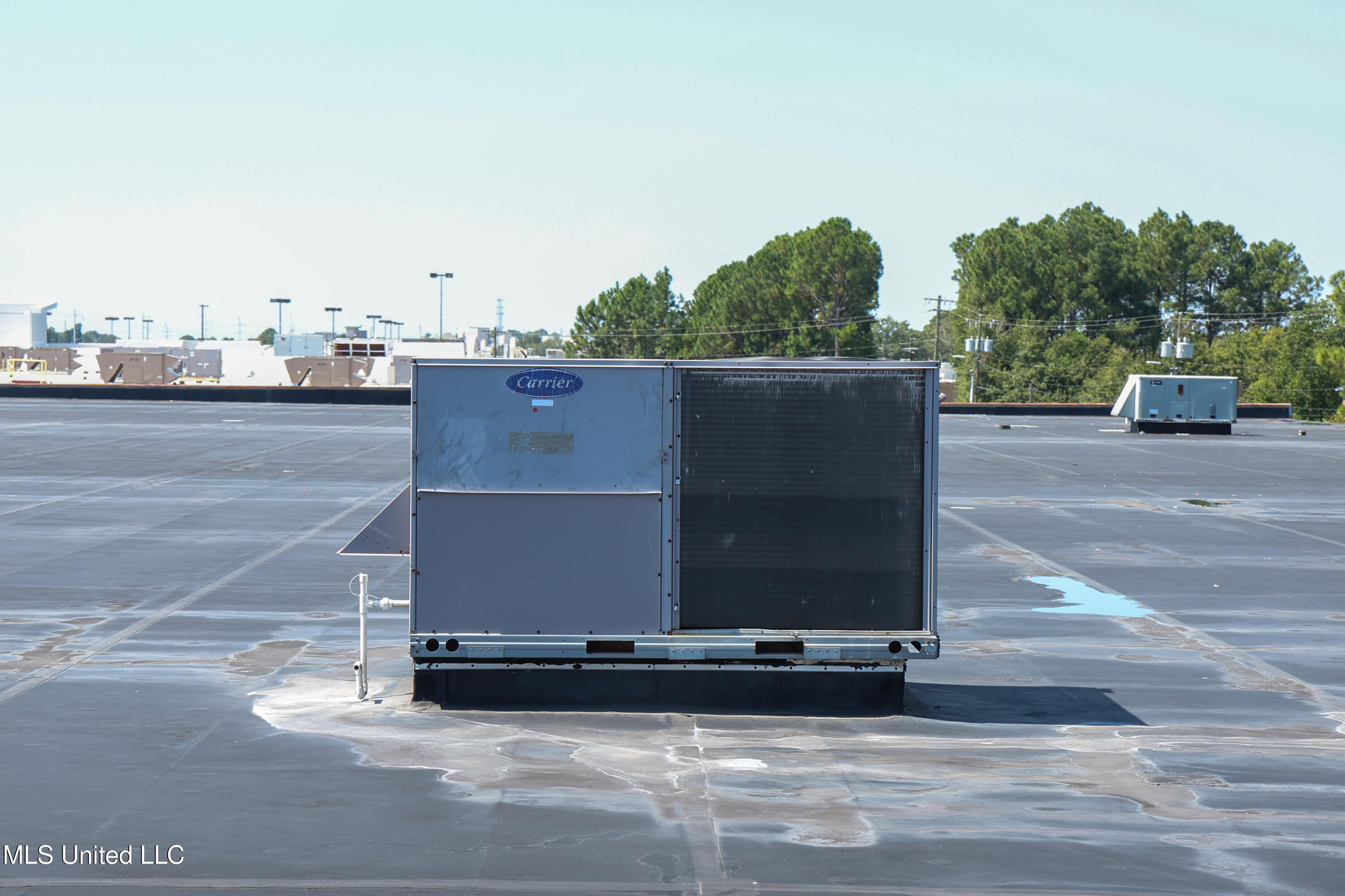 3943 Denny Avenue Property Photo 51