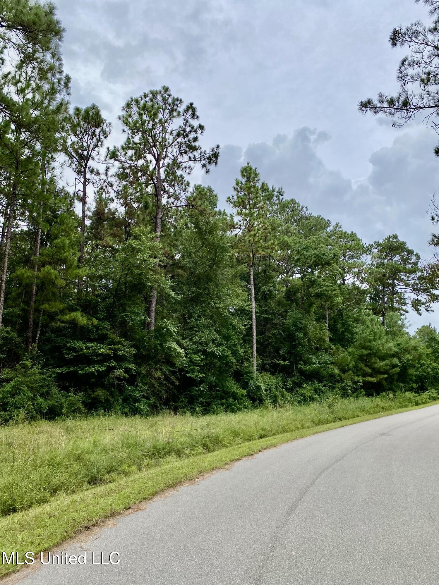 249 Timberlane Drive Property Photo 2