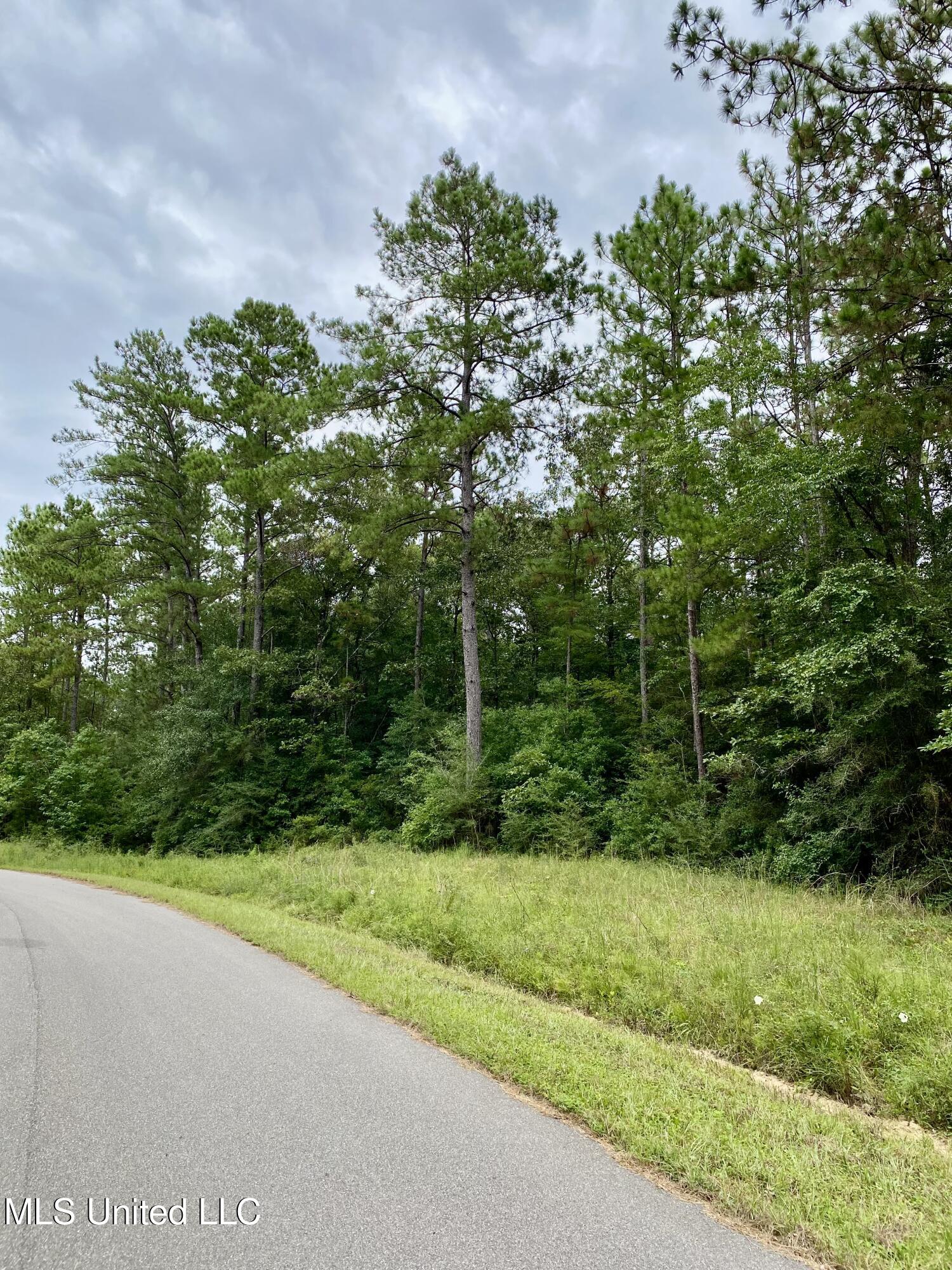 249 Timberlane Drive Property Photo 3