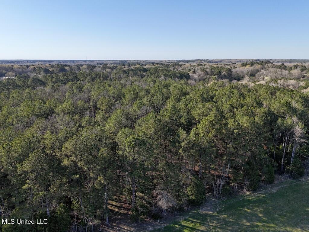 00015 Stump Bridge Road Property Photo 4