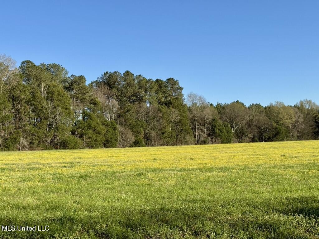 00015 Stump Bridge Road Property Photo 6
