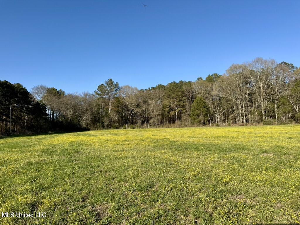 00015 Stump Bridge Road Property Photo 7