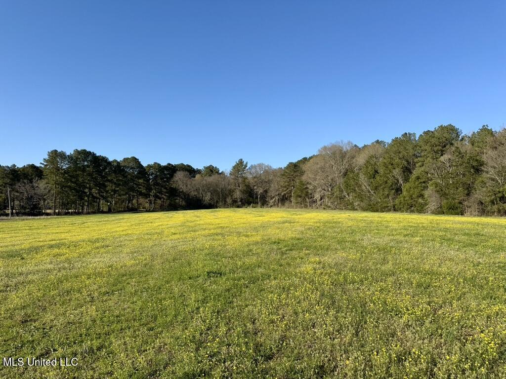 00015 Stump Bridge Road Property Photo 16