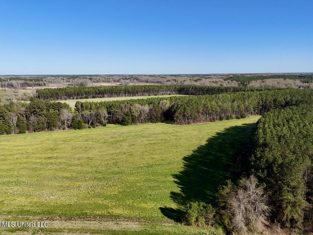 00015 Stump Bridge Road Property Photo 21