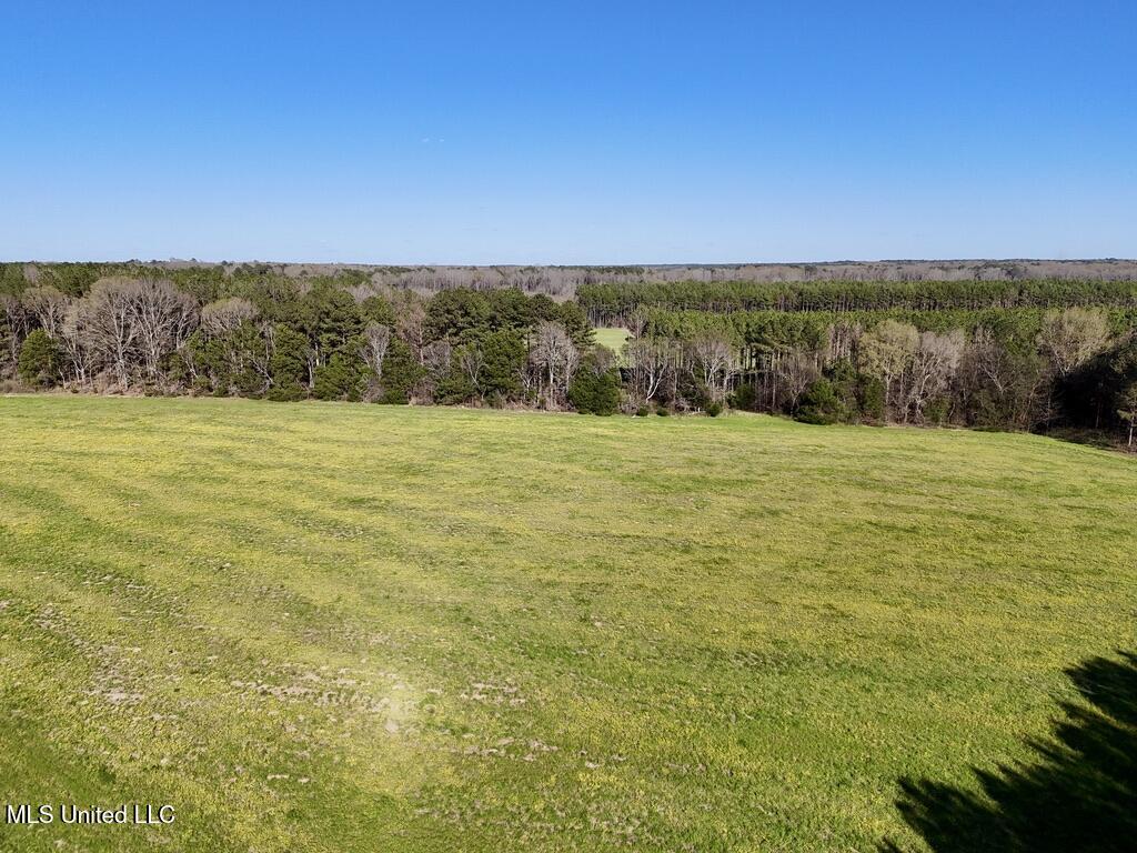 00015 Stump Bridge Road Property Photo 23