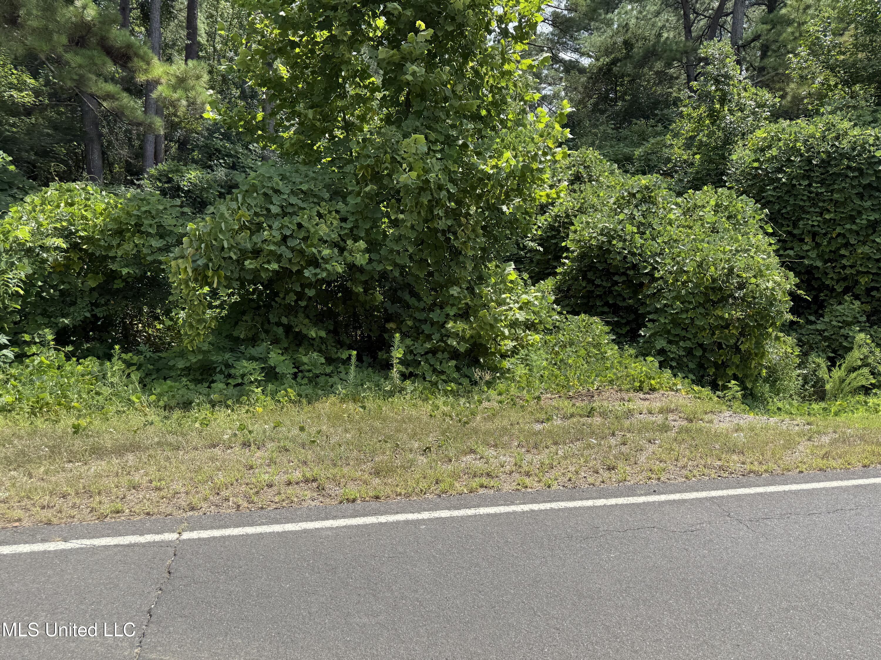 No Strickland Road Property Photo 1