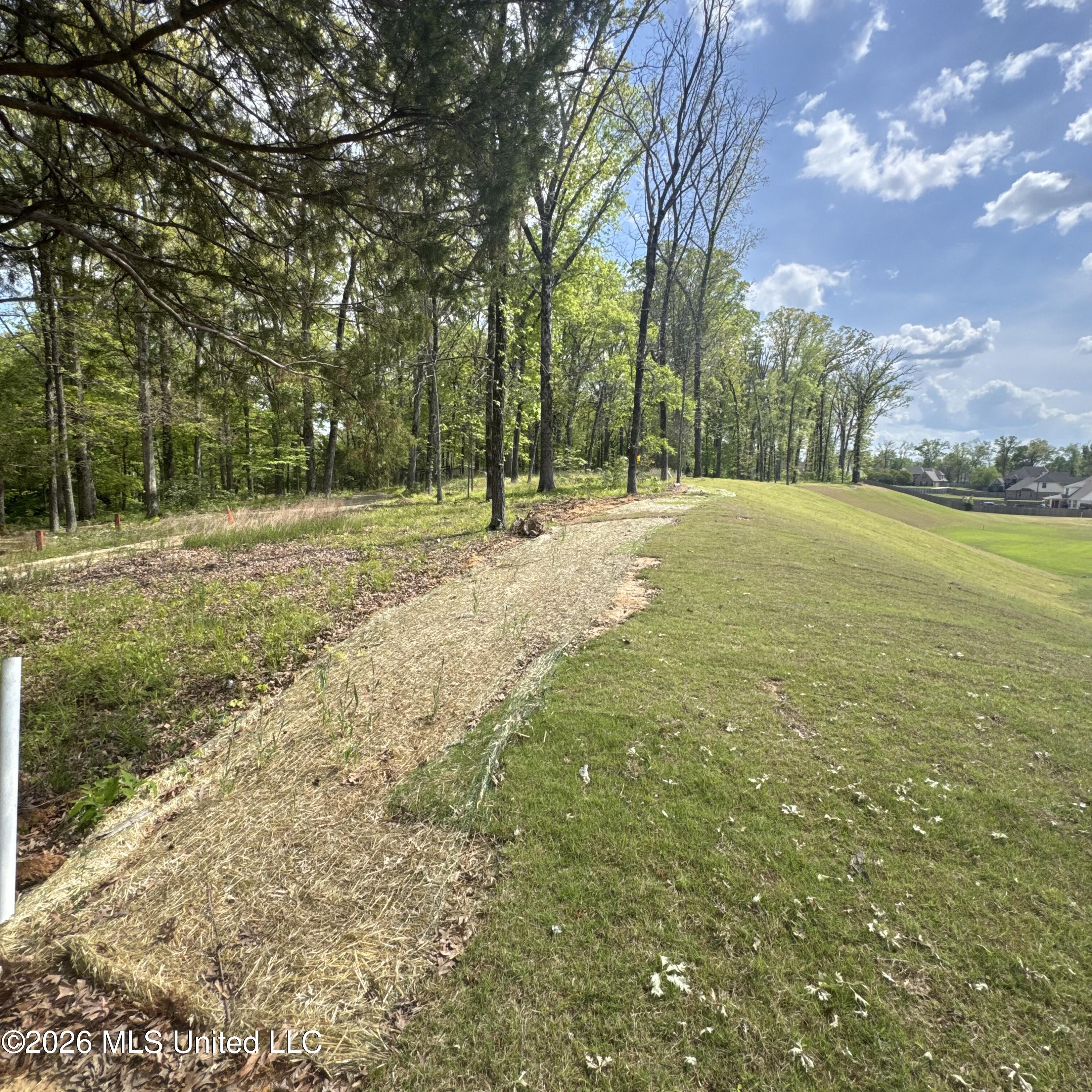 8593 Gwin Hollow Drive Property Photo 52