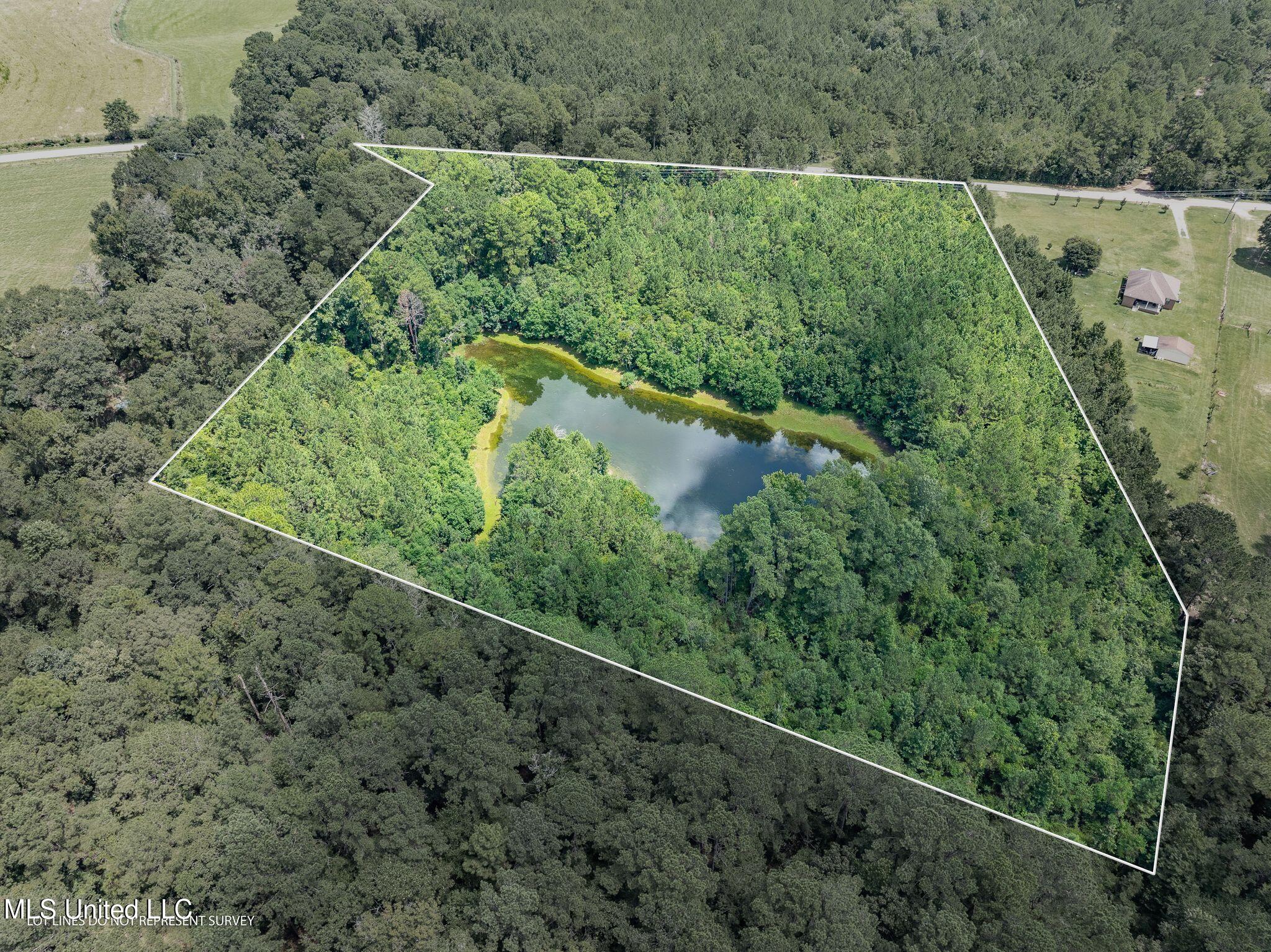 8.3 +/-ac Old Salt Road Property Photo 2