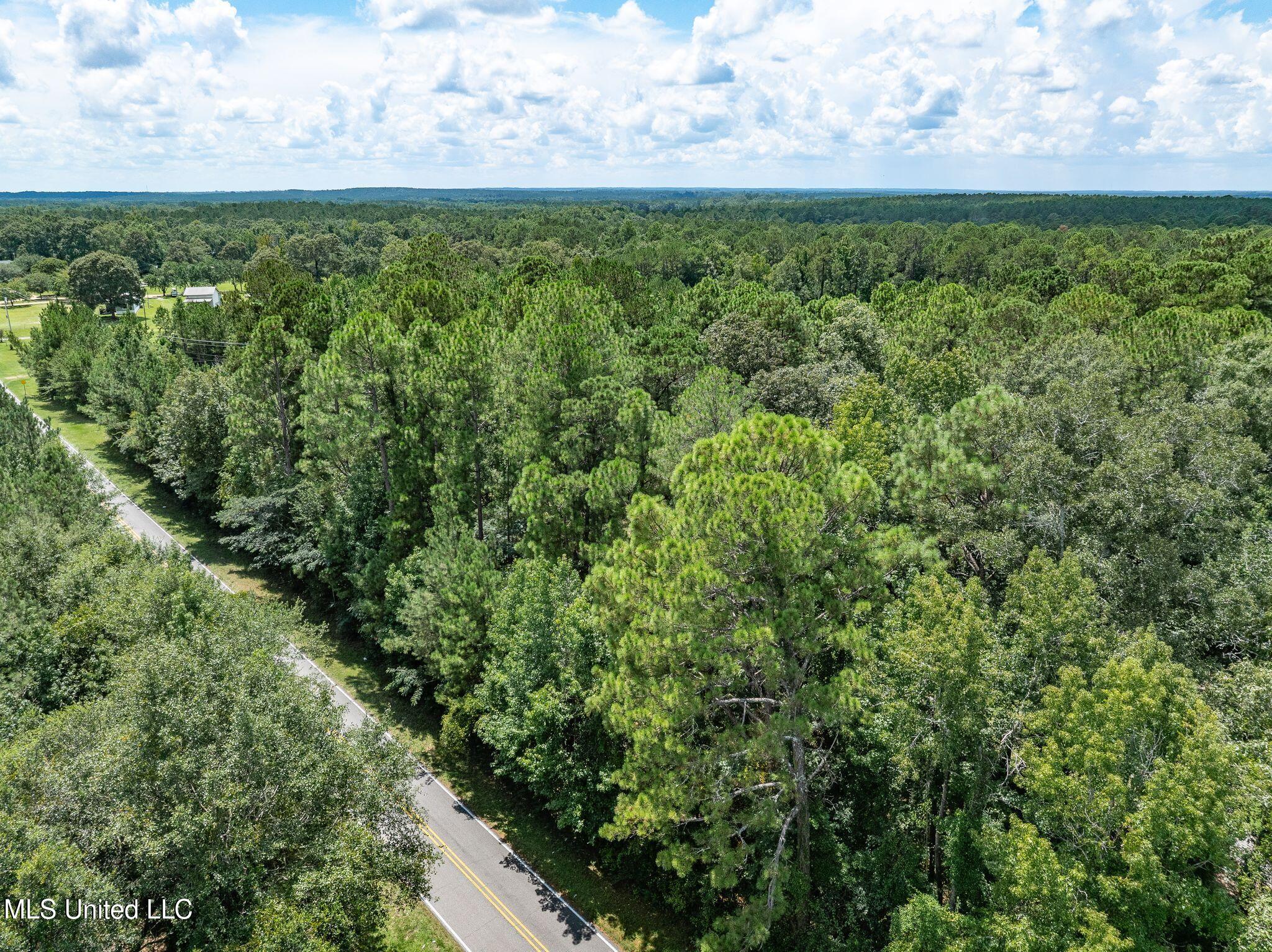 8.3 +/-ac Old Salt Road Property Photo 7