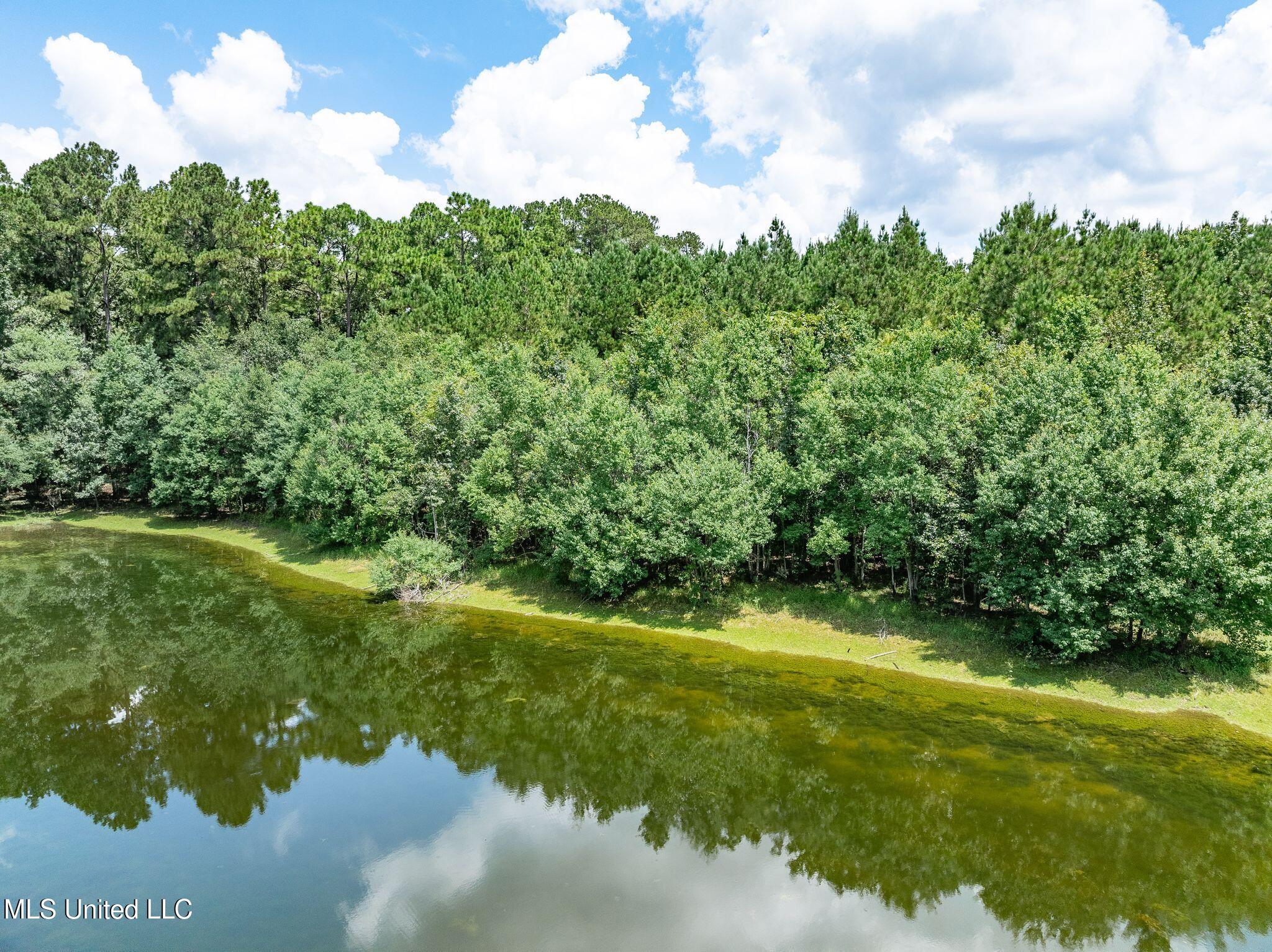 8.3 +/-ac Old Salt Road Property Photo 8