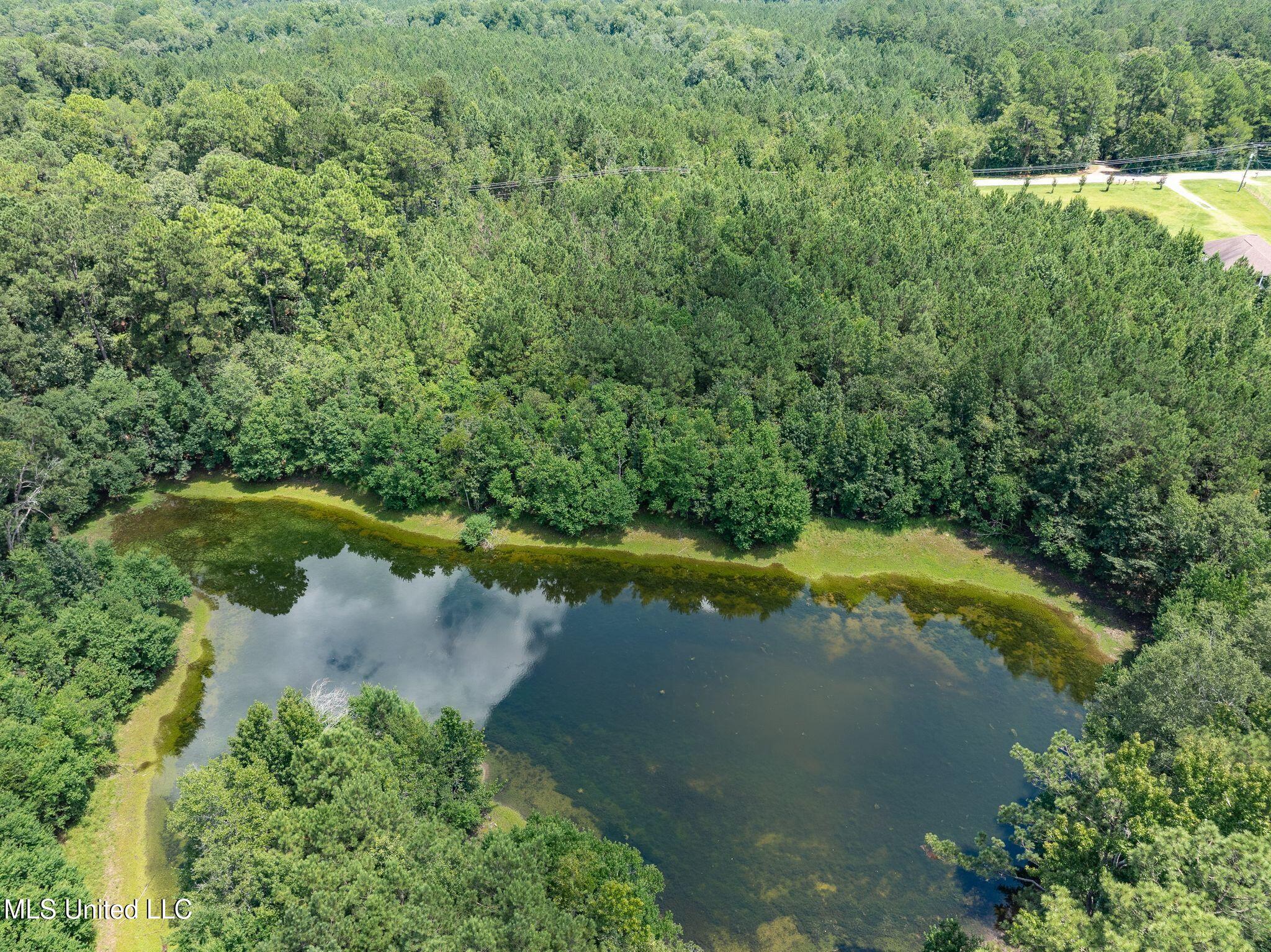 8.3 +/-ac Old Salt Road Property Photo 9