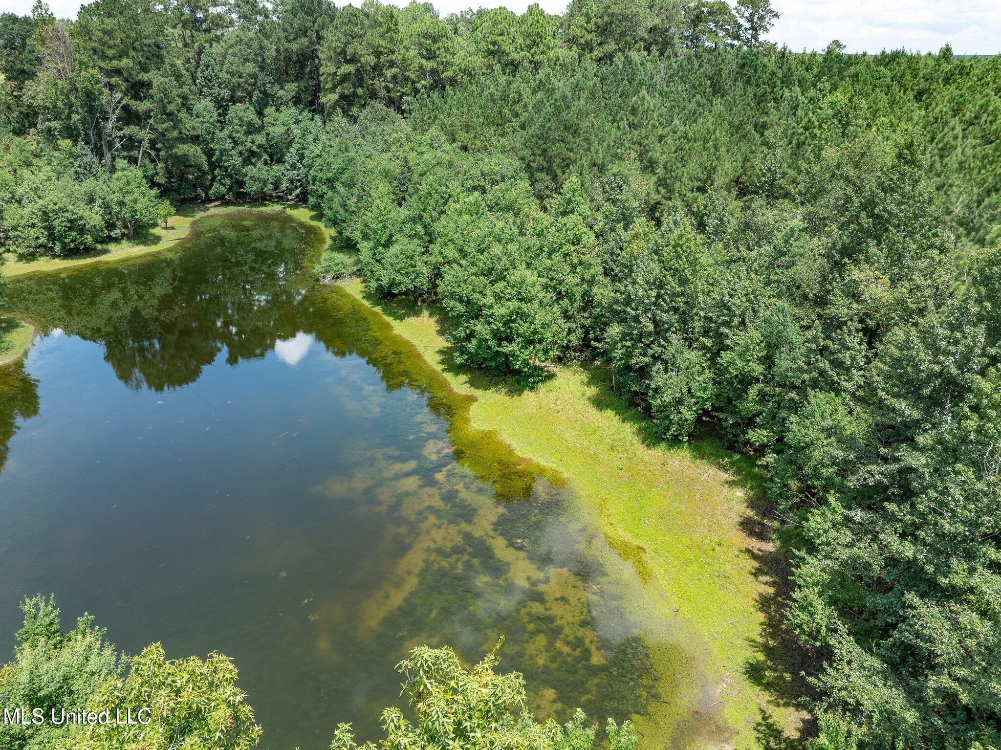 8.3 +/-ac Old Salt Road Property Photo 10