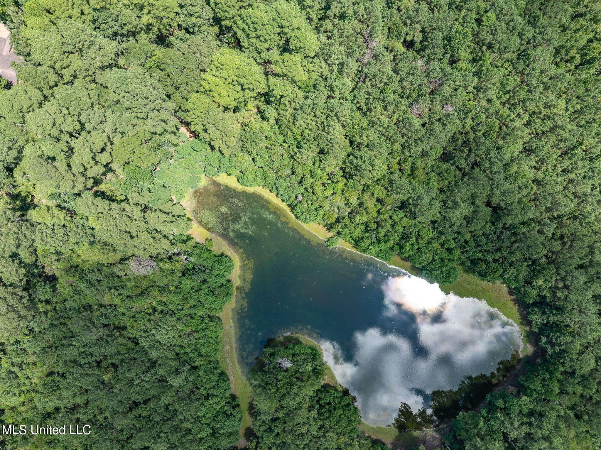 8.3 +/-ac Old Salt Road Property Photo 11