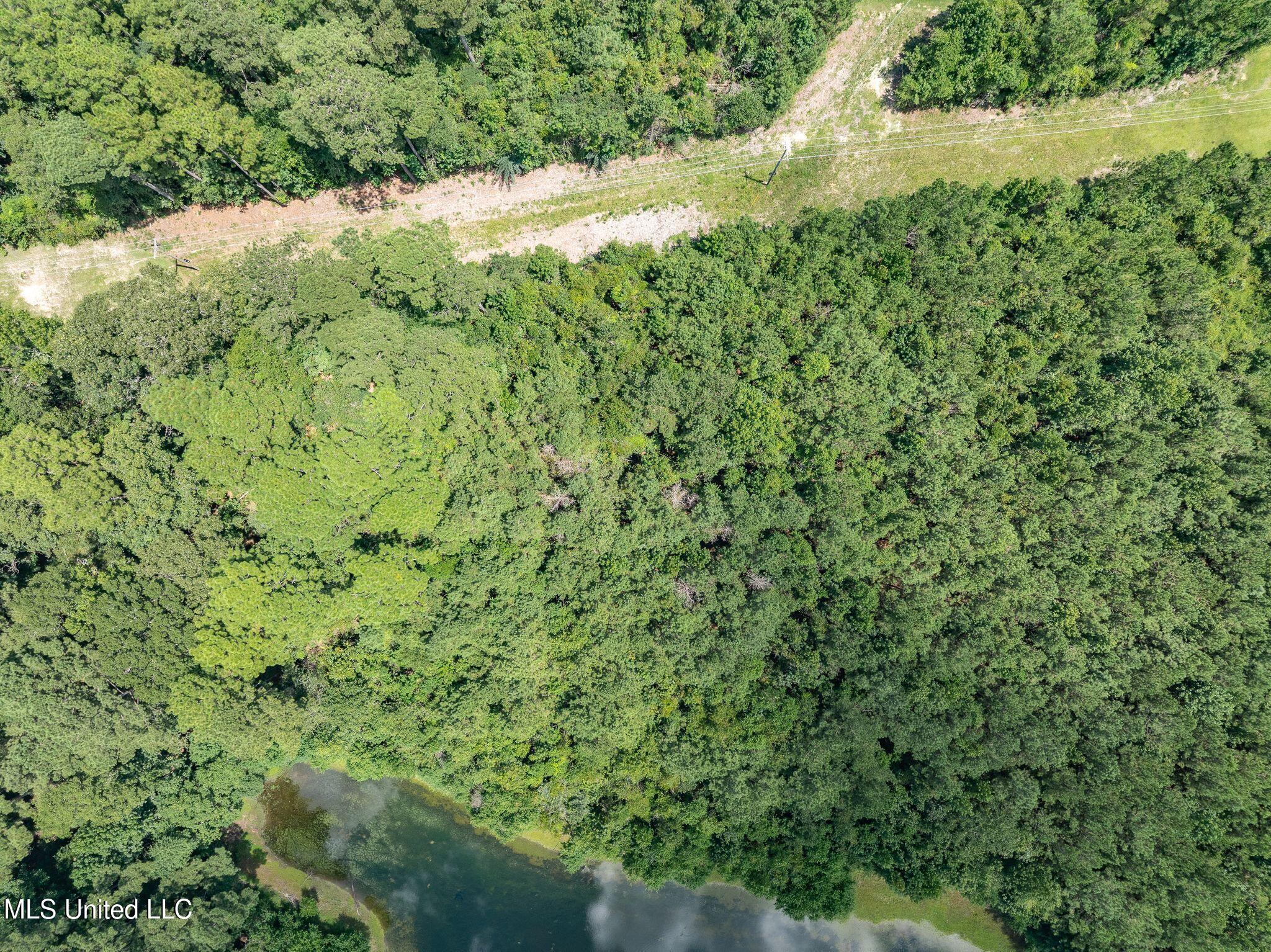 8.3 +/-ac Old Salt Road Property Photo 12