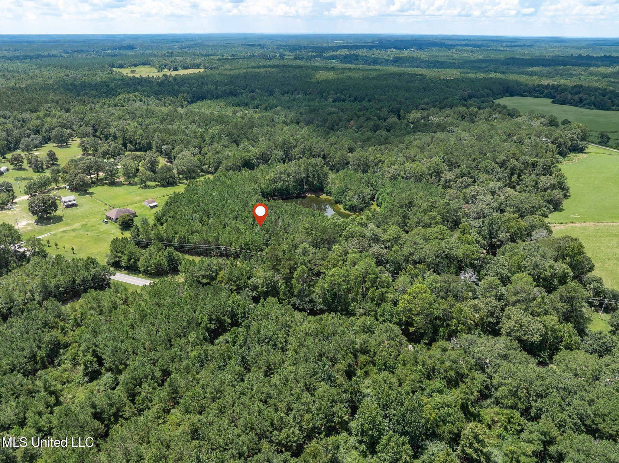 8.3 +/-ac Old Salt Road Property Photo 13