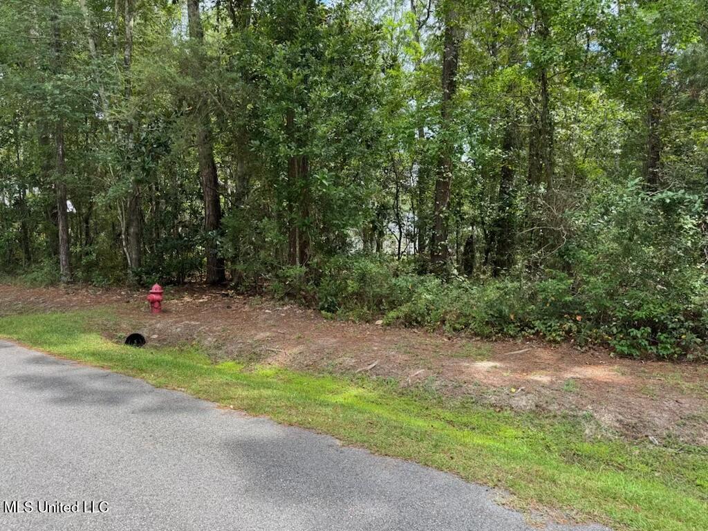 1 Tunica St Property Photo 1