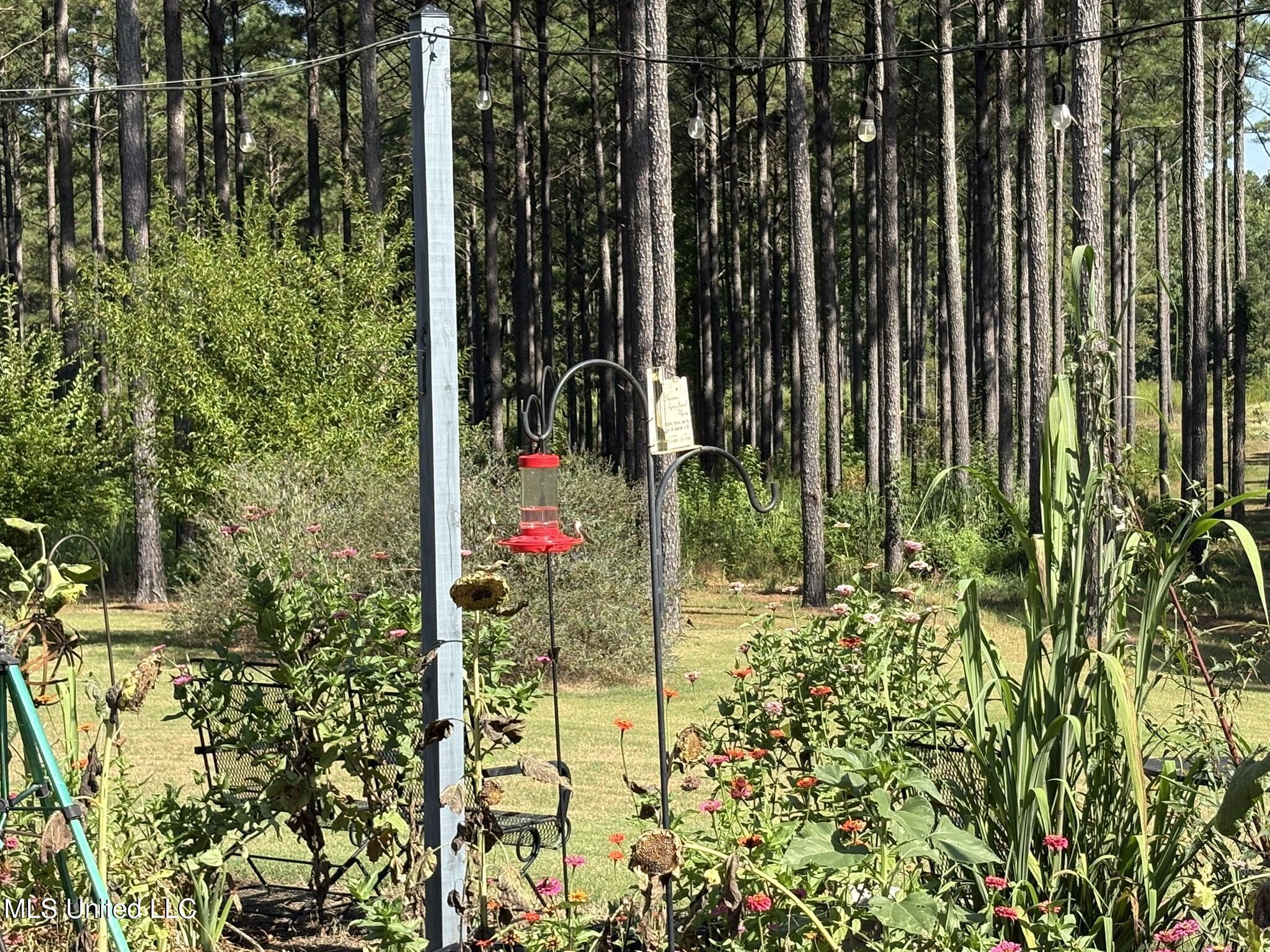 333 Paul White Road Property Photo 22