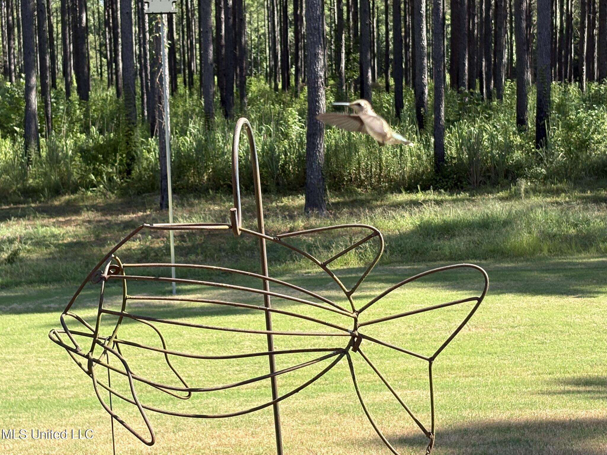 333 Paul White Road Property Photo 26