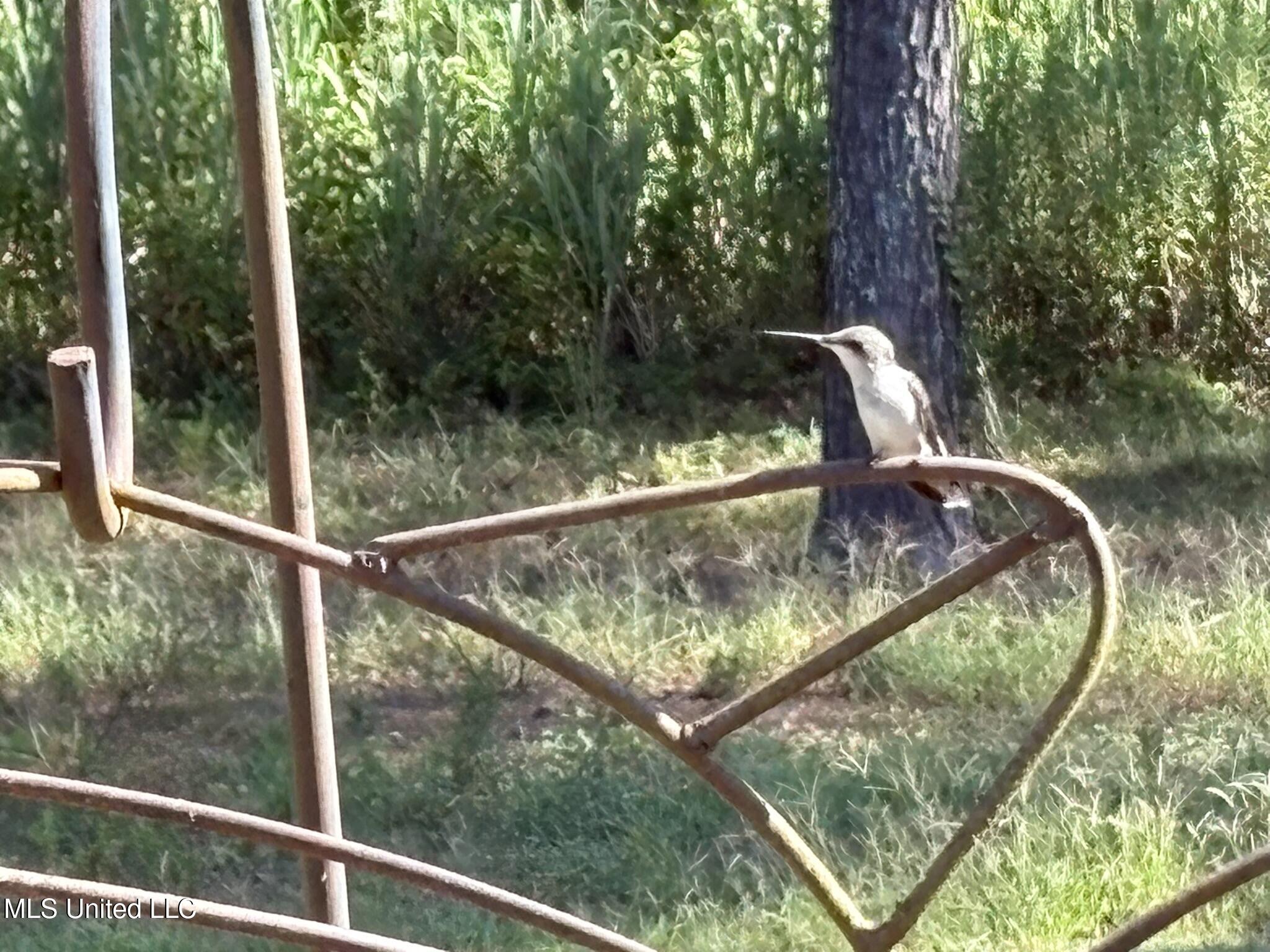 333 Paul White Road Property Photo 27