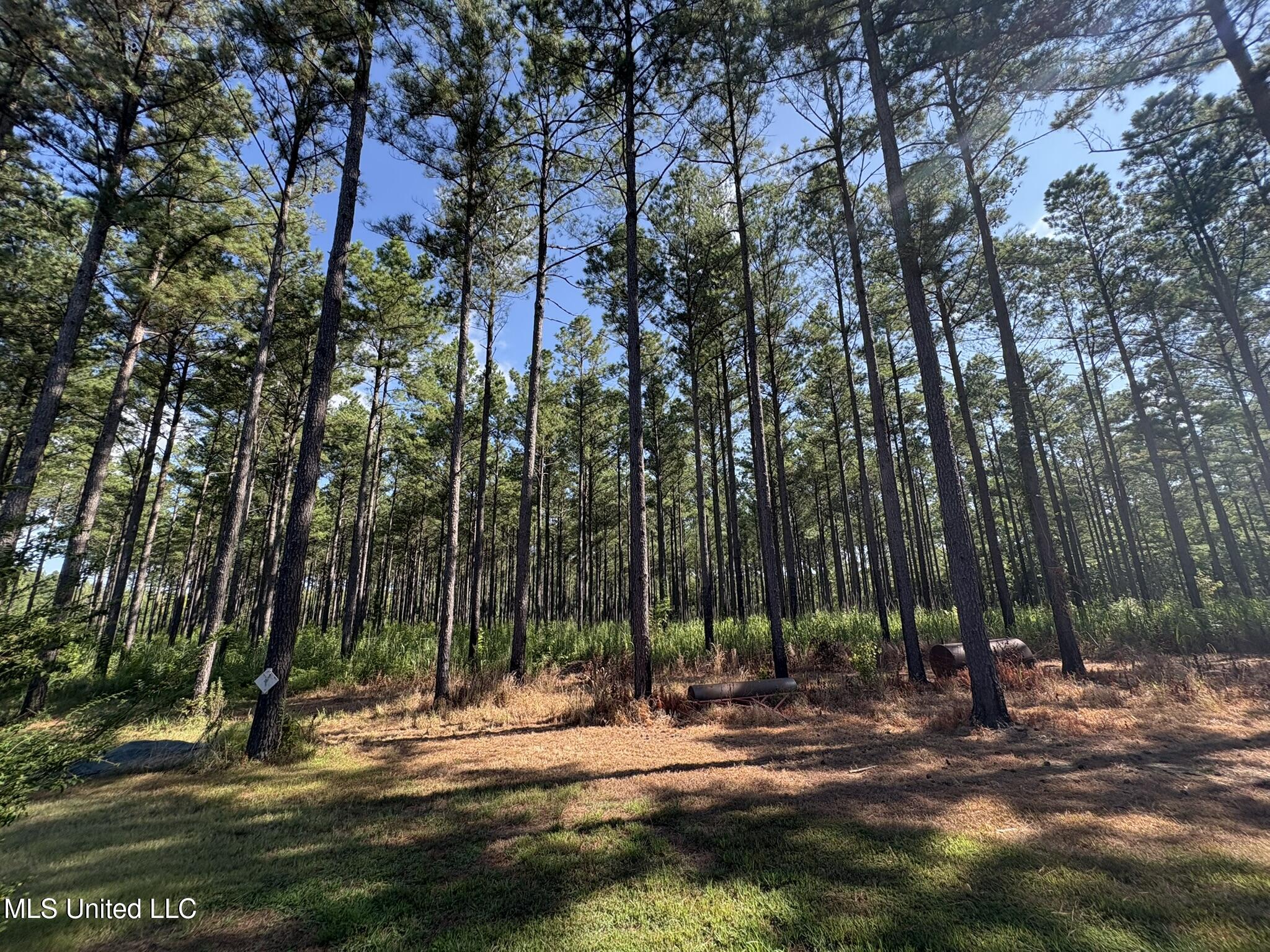 333 Paul White Road Property Photo 29