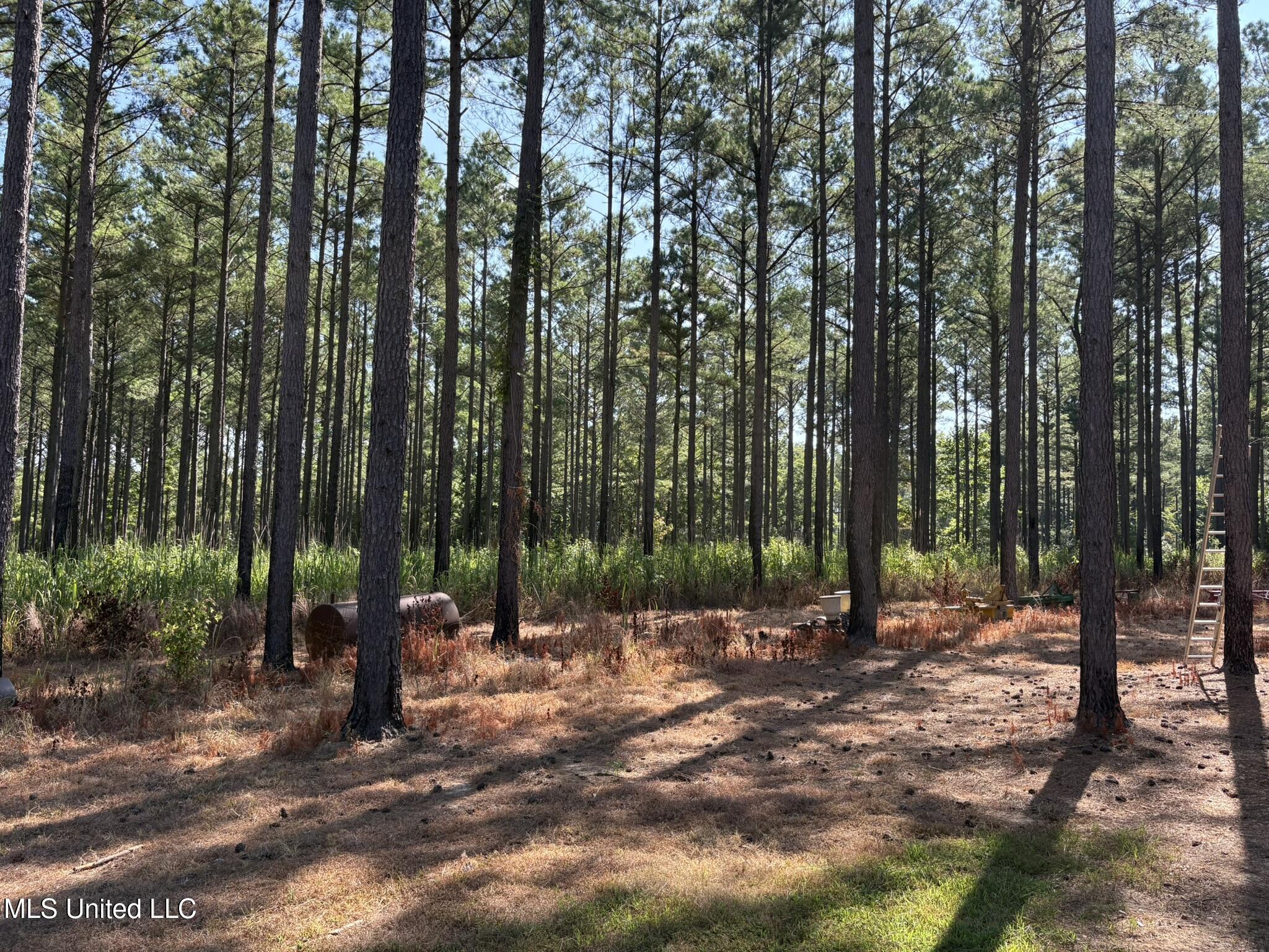 333 Paul White Road Property Photo 30