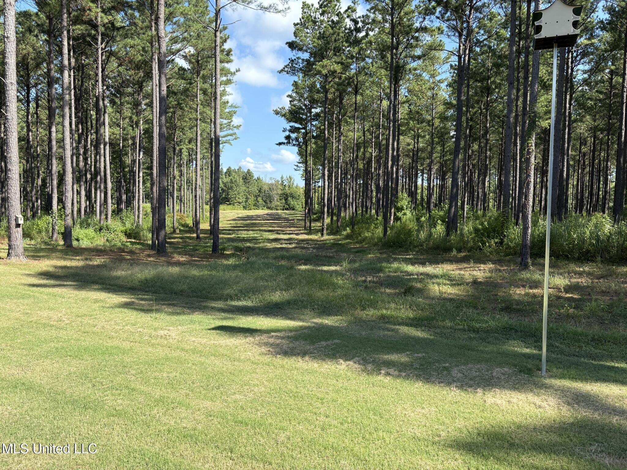 333 Paul White Road Property Photo 32