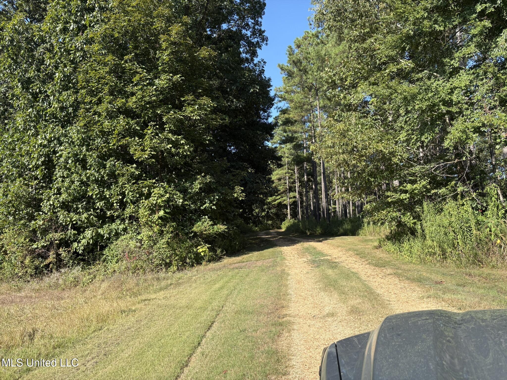 333 Paul White Road Property Photo 33