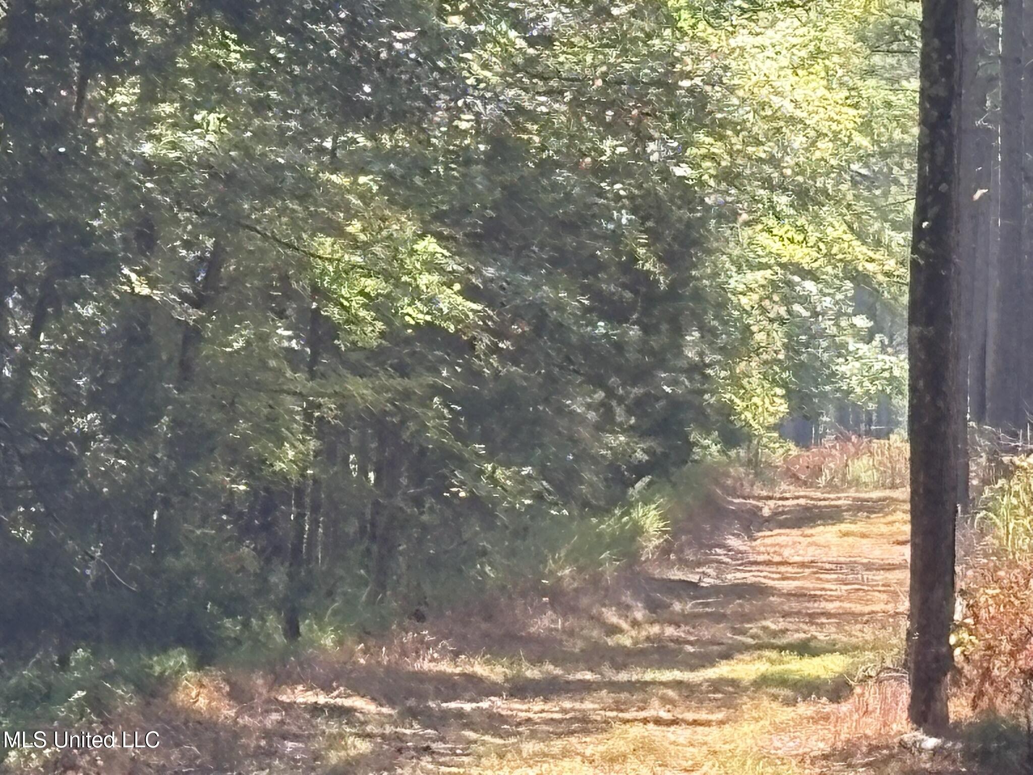 333 Paul White Road Property Photo 37