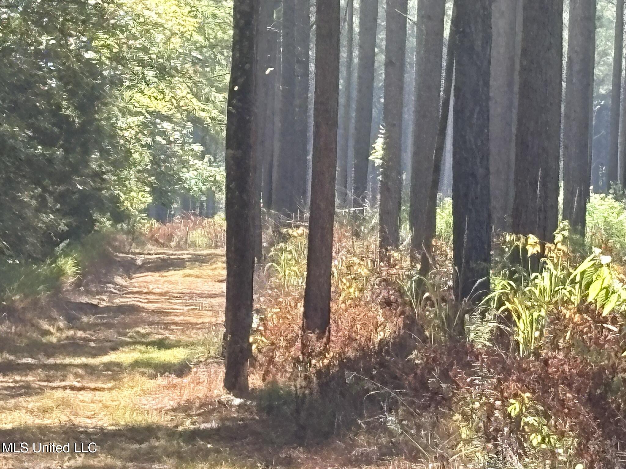 333 Paul White Road Property Photo 38