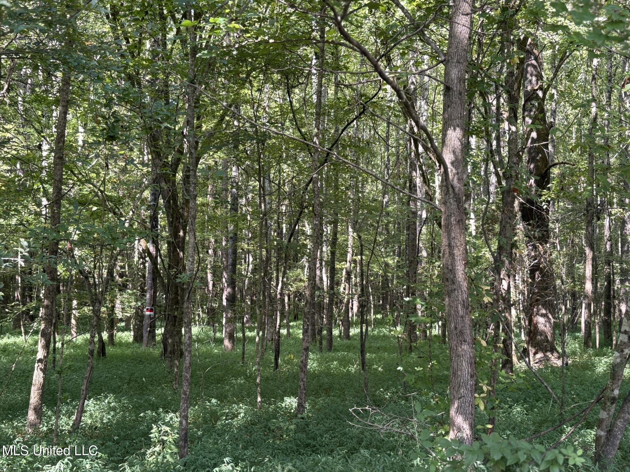 333 Paul White Road Property Photo 40