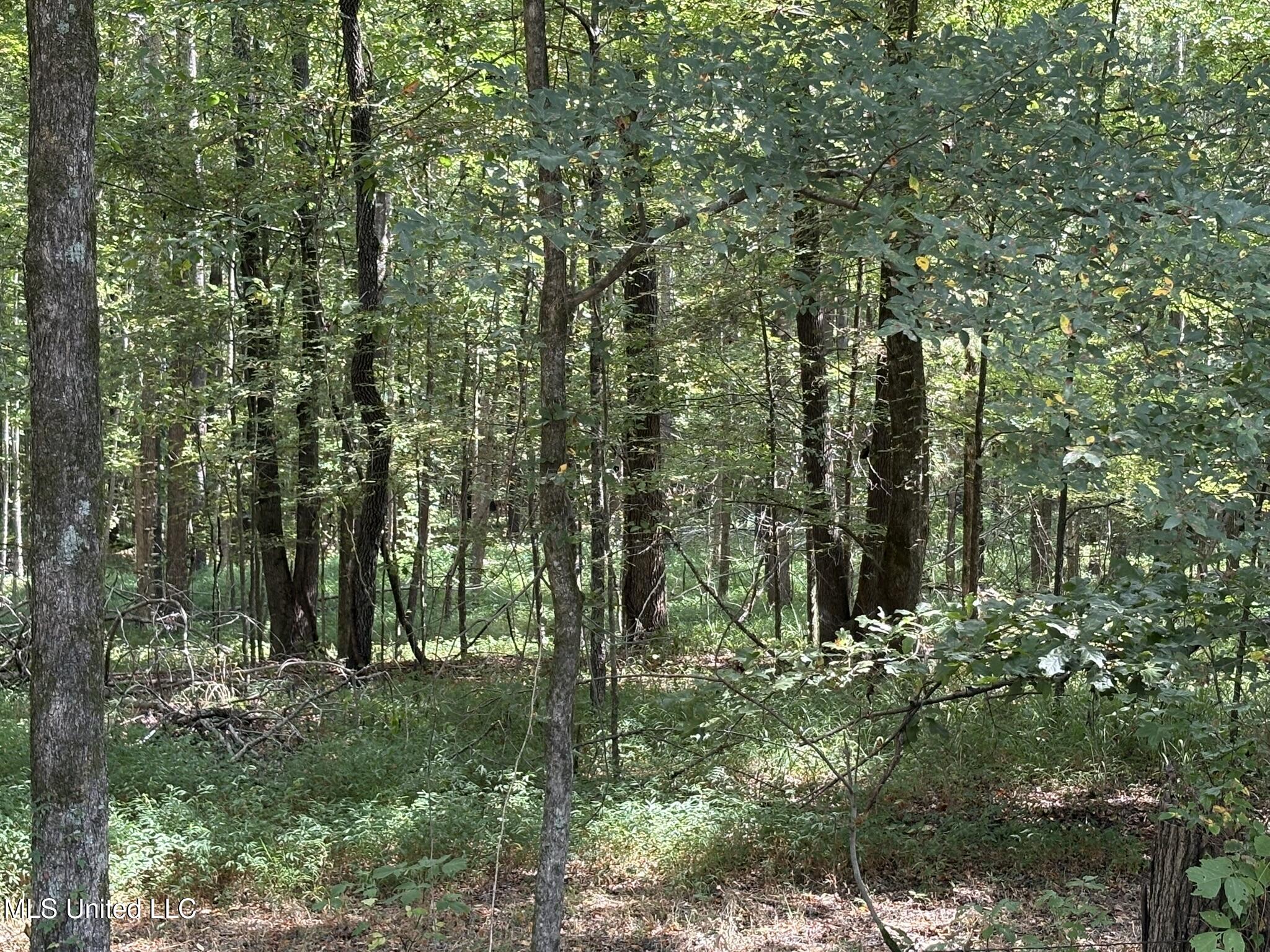 333 Paul White Road Property Photo 42