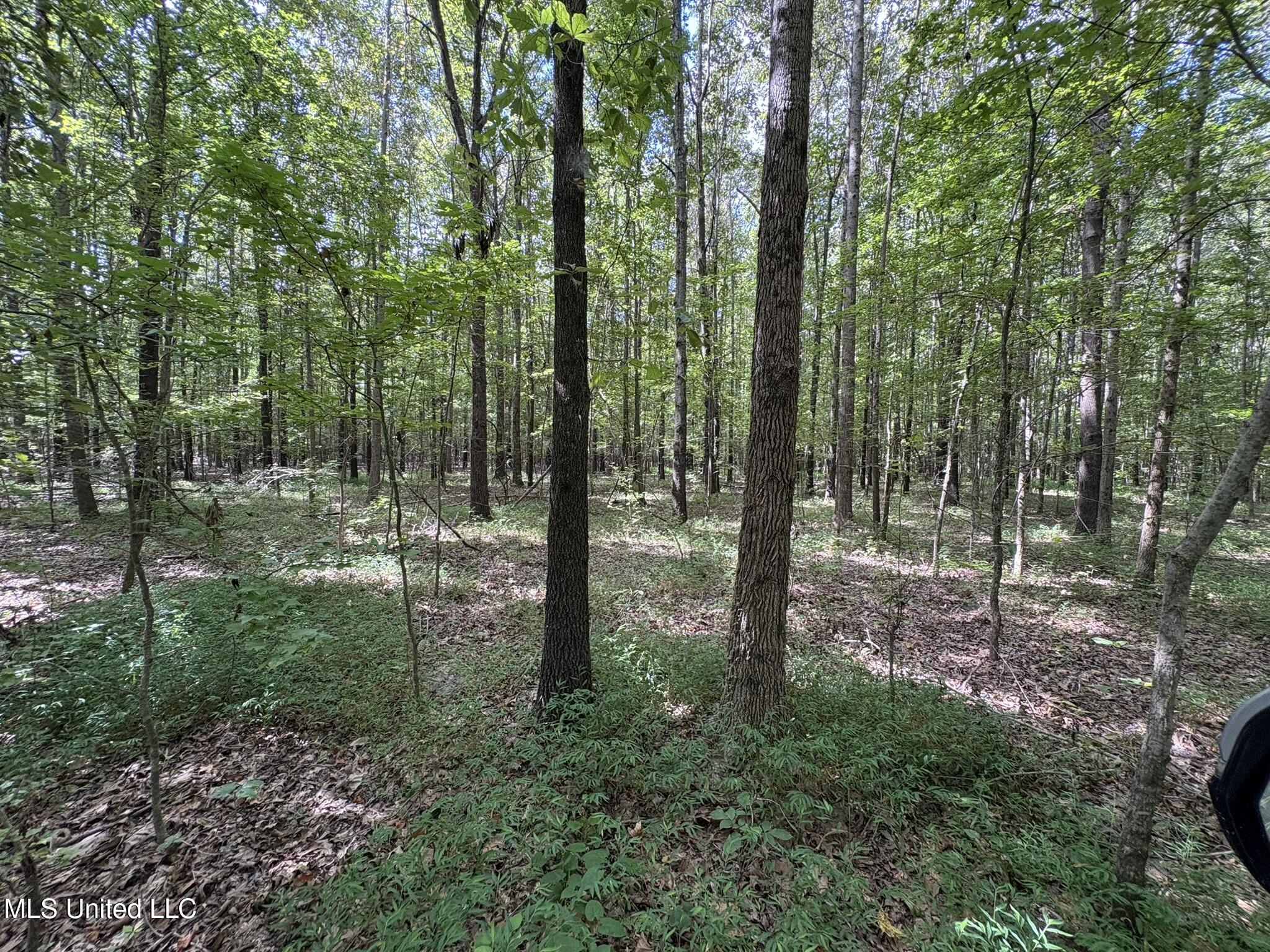 333 Paul White Road Property Photo 44