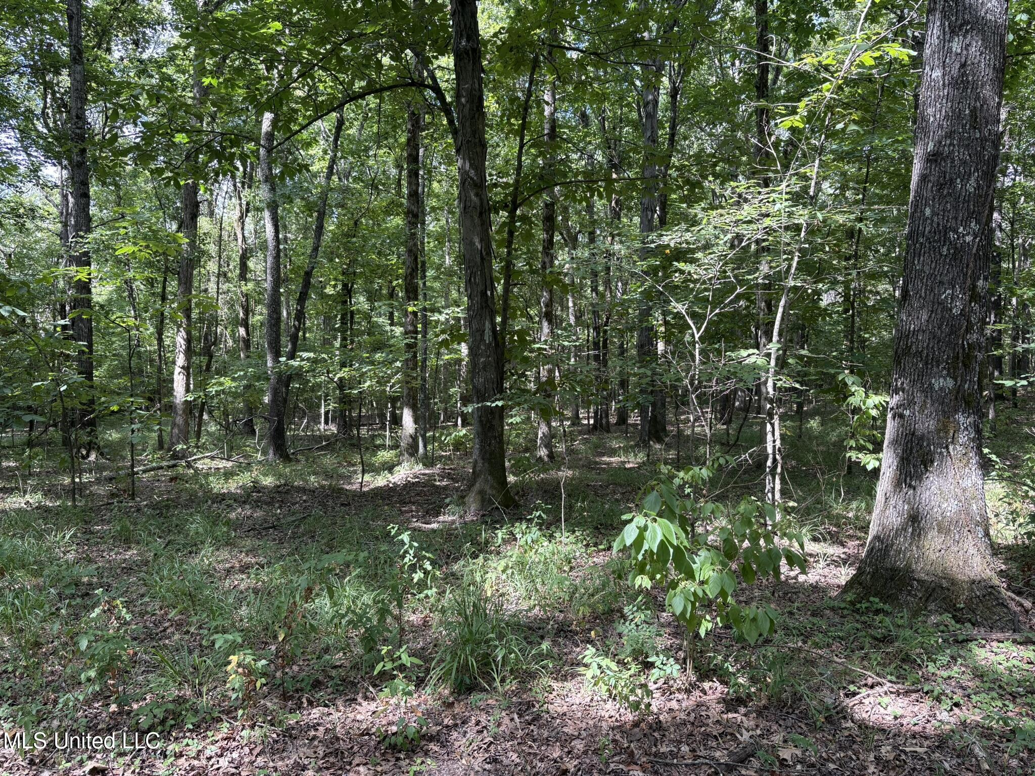 333 Paul White Road Property Photo 45