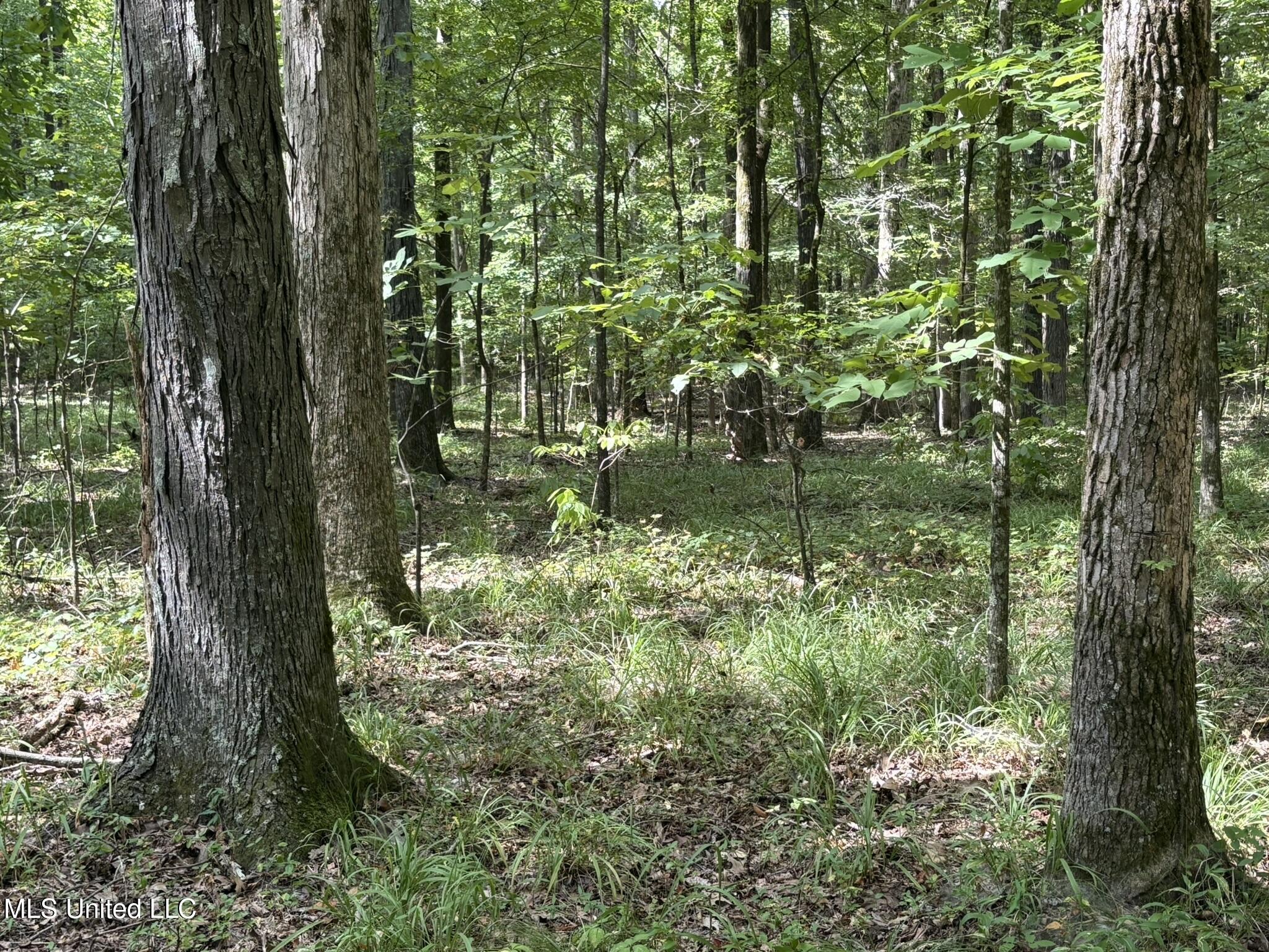 333 Paul White Road Property Photo 46