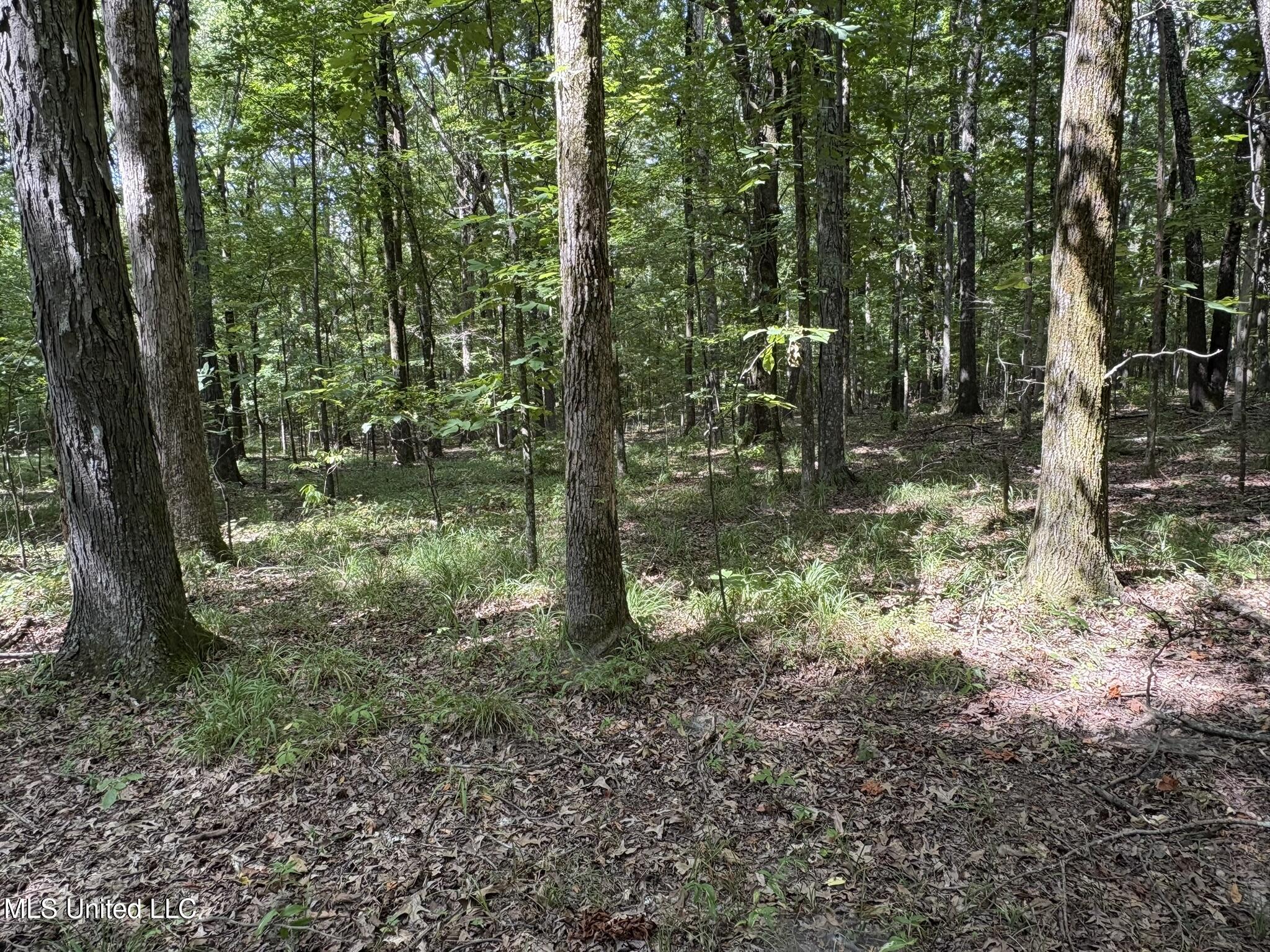 333 Paul White Road Property Photo 47