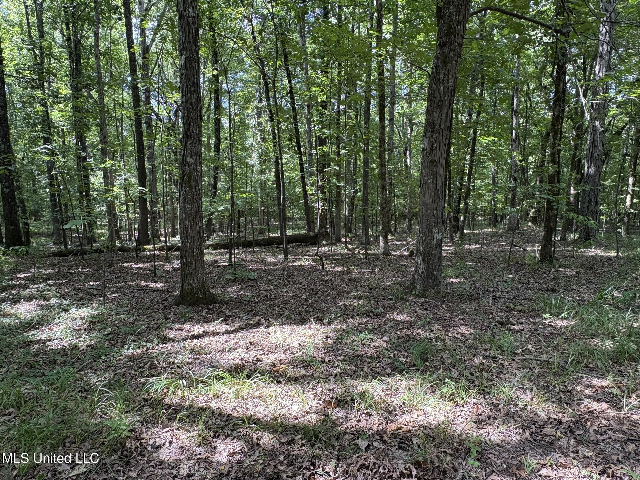 333 Paul White Road Property Photo 48