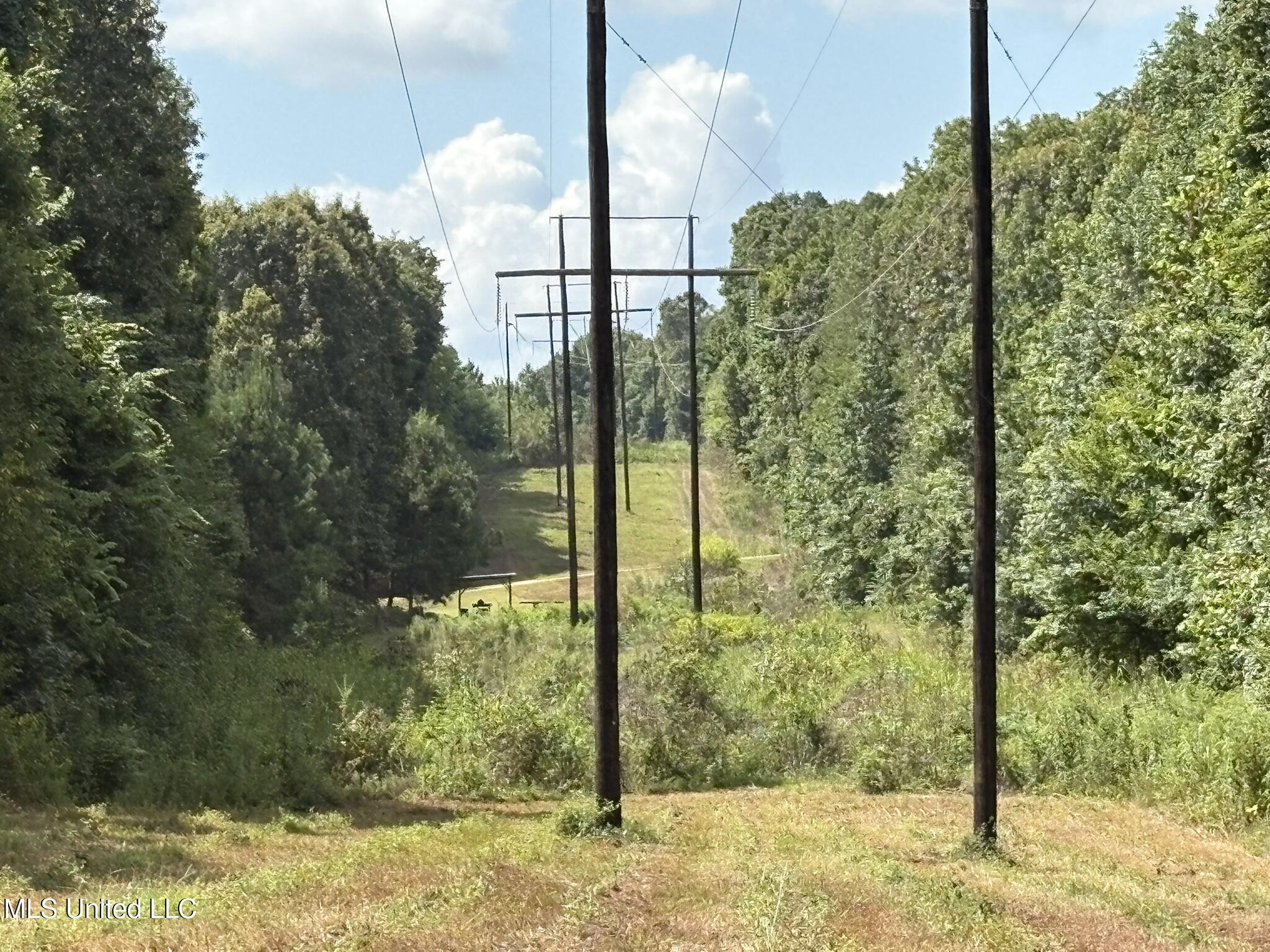 333 Paul White Road Property Photo 50