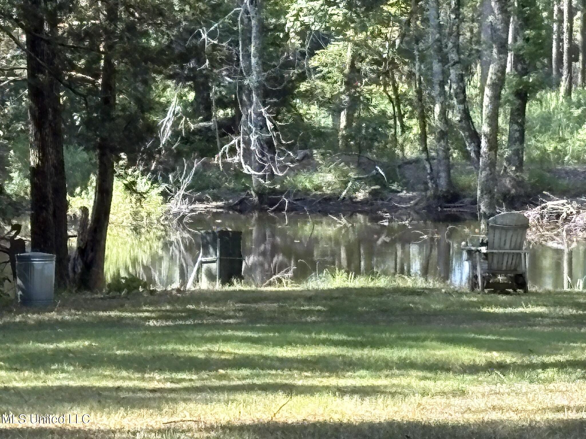 333 Paul White Road Property Photo 53