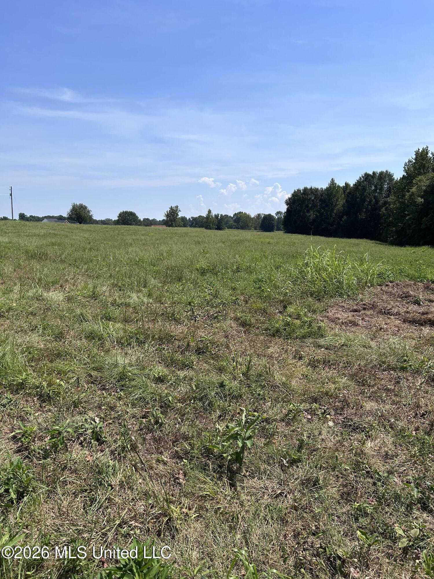 5 W Commerce Property Photo 1