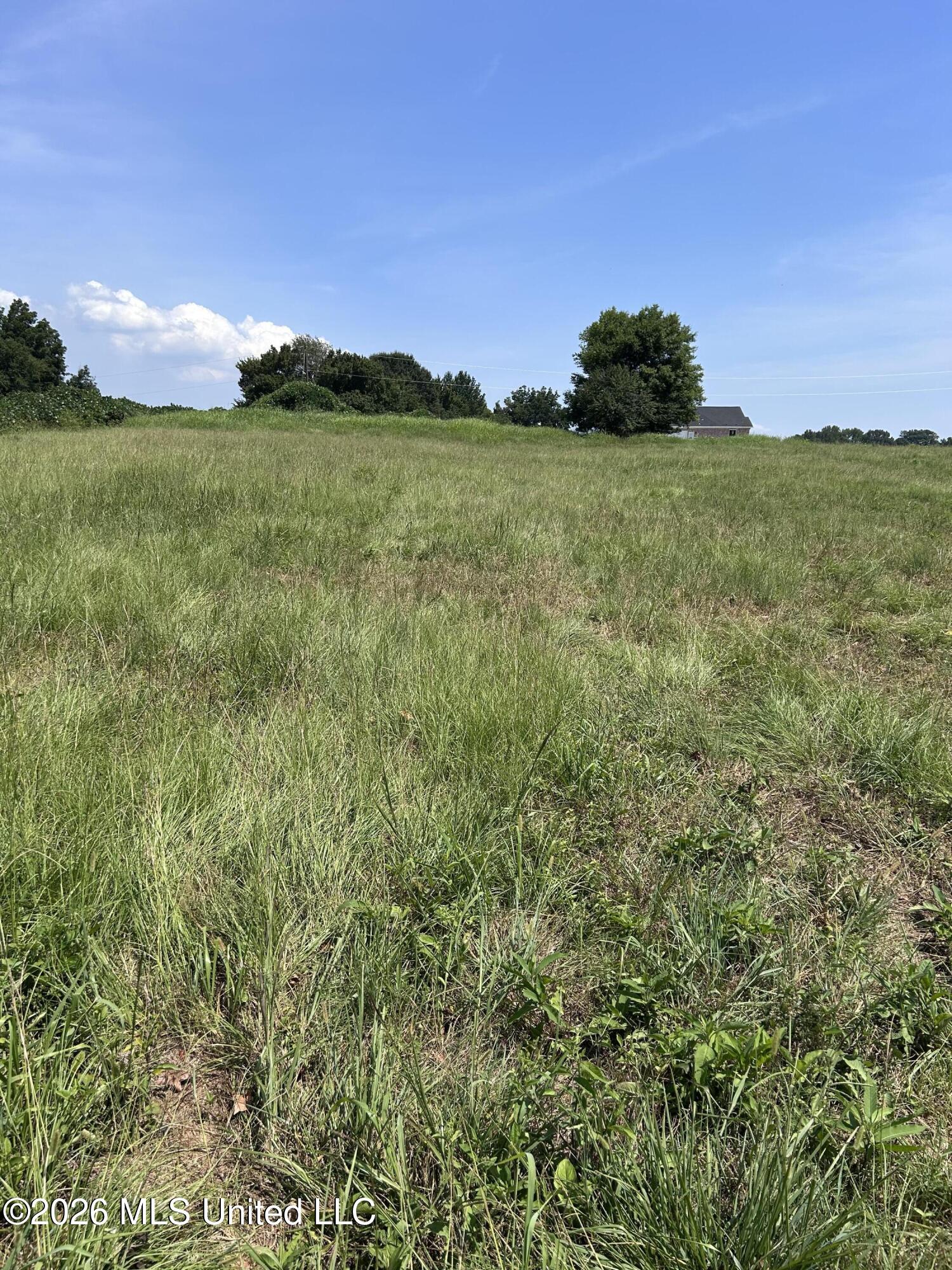 5 W Commerce Property Photo 2